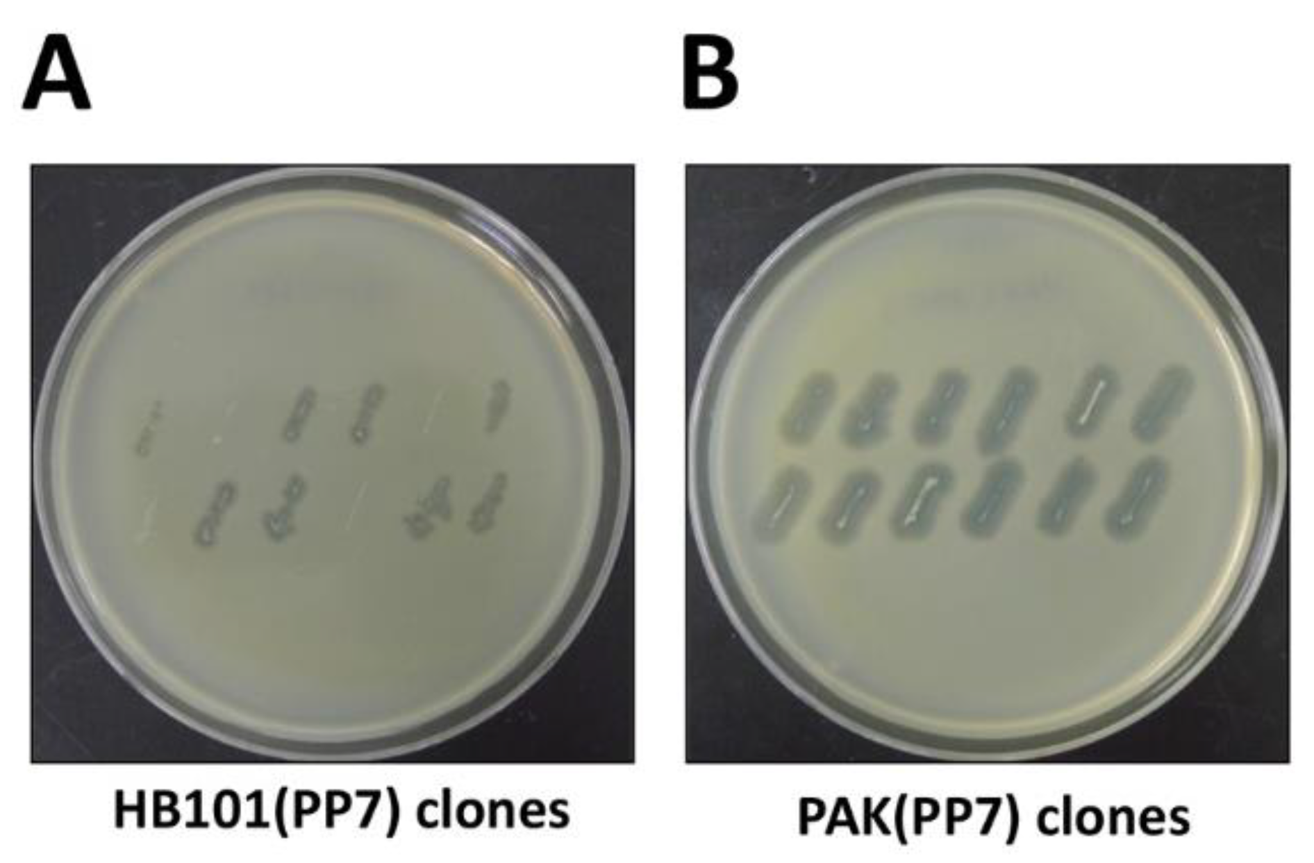 Mps 02 00022 g002