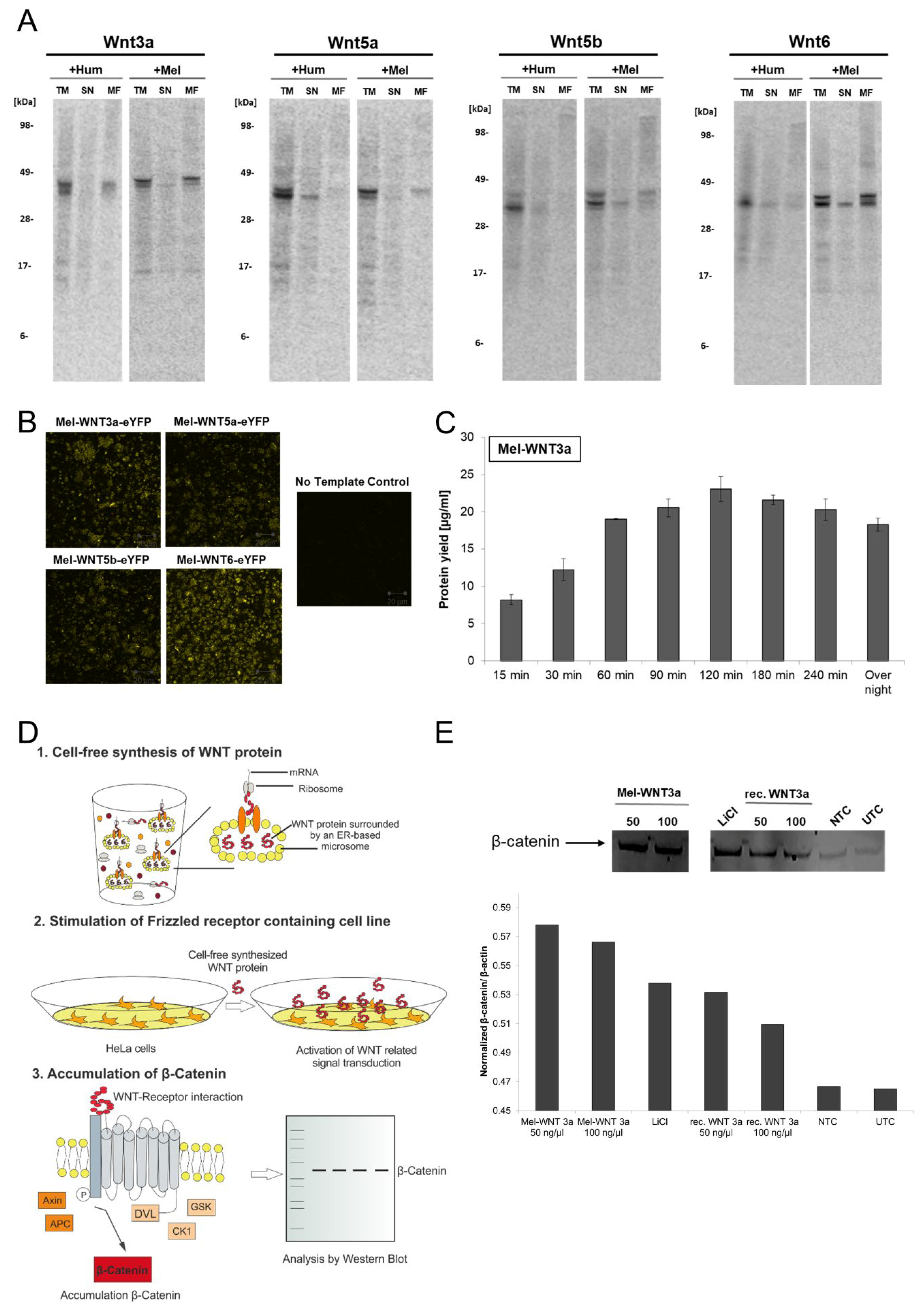 Mps 02 00030 g003 Mps 02 00030 g003