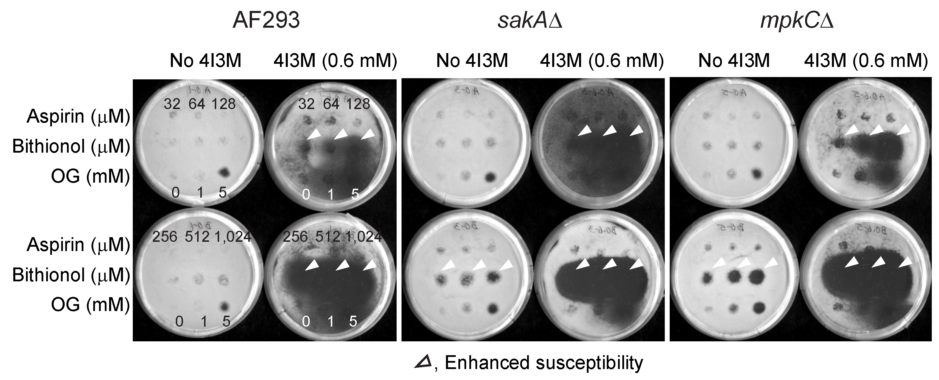 Mps 02 00031 g003 Mps 02 00031 g003