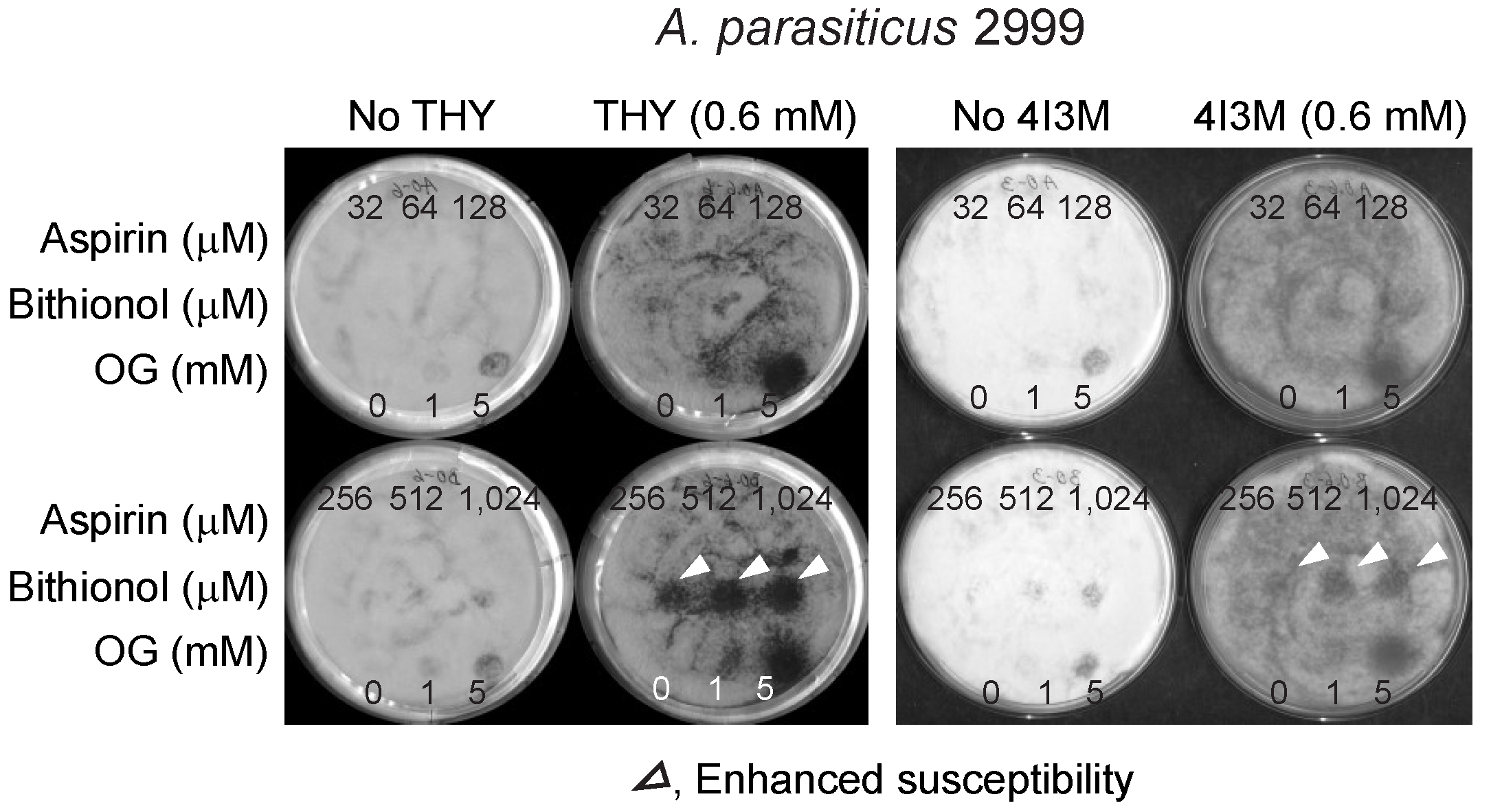Mps 02 00031 g004 Mps 02 00031 g004