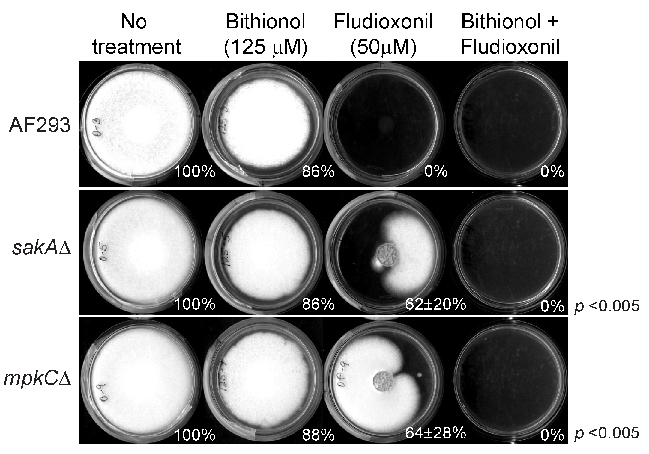 Mps 02 00031 g008 Mps 02 00031 g008