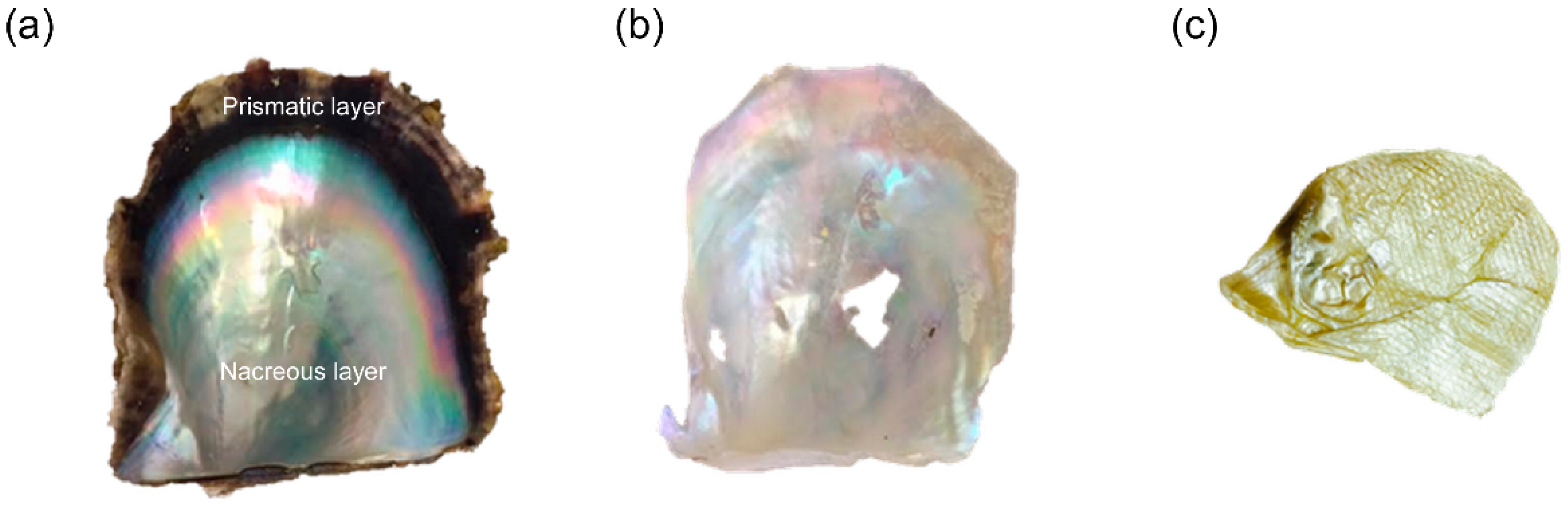 Mps 02 00037 g002 550