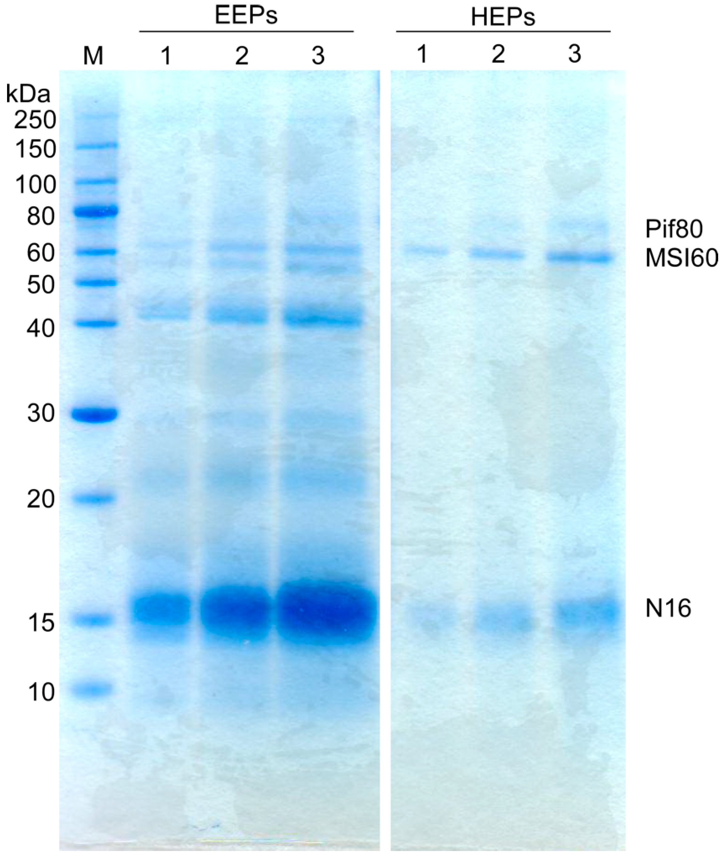 Mps 02 00037 g003 550