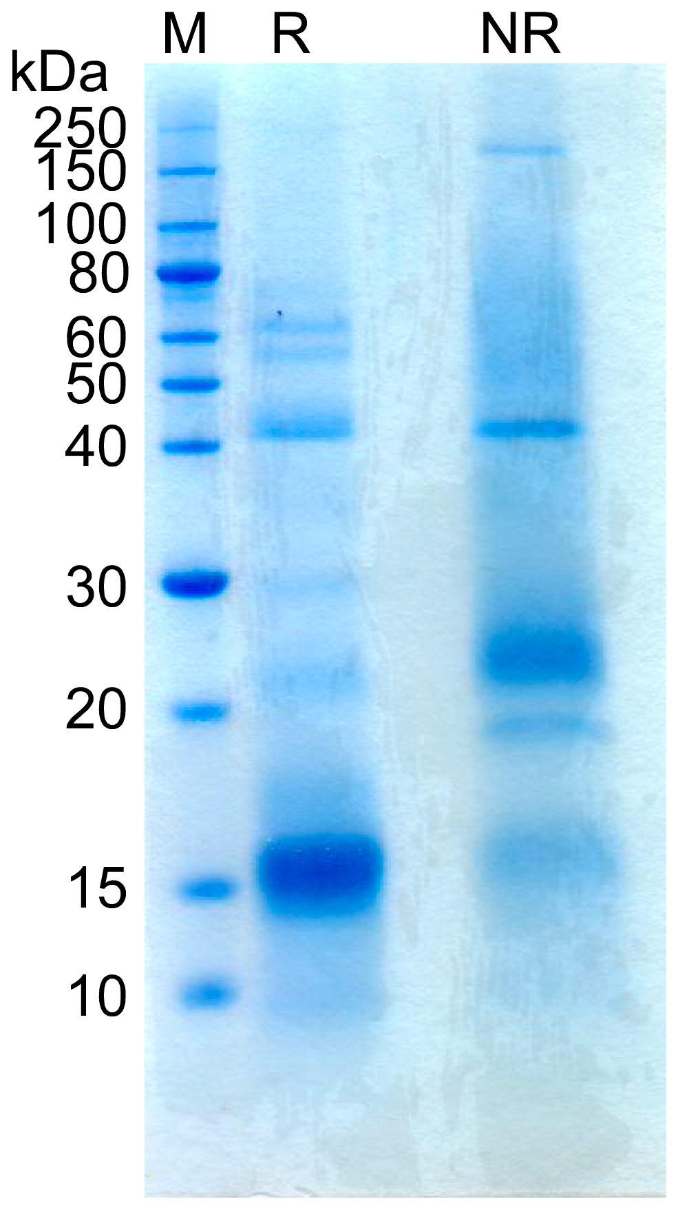 Mps 02 00037 g004 550