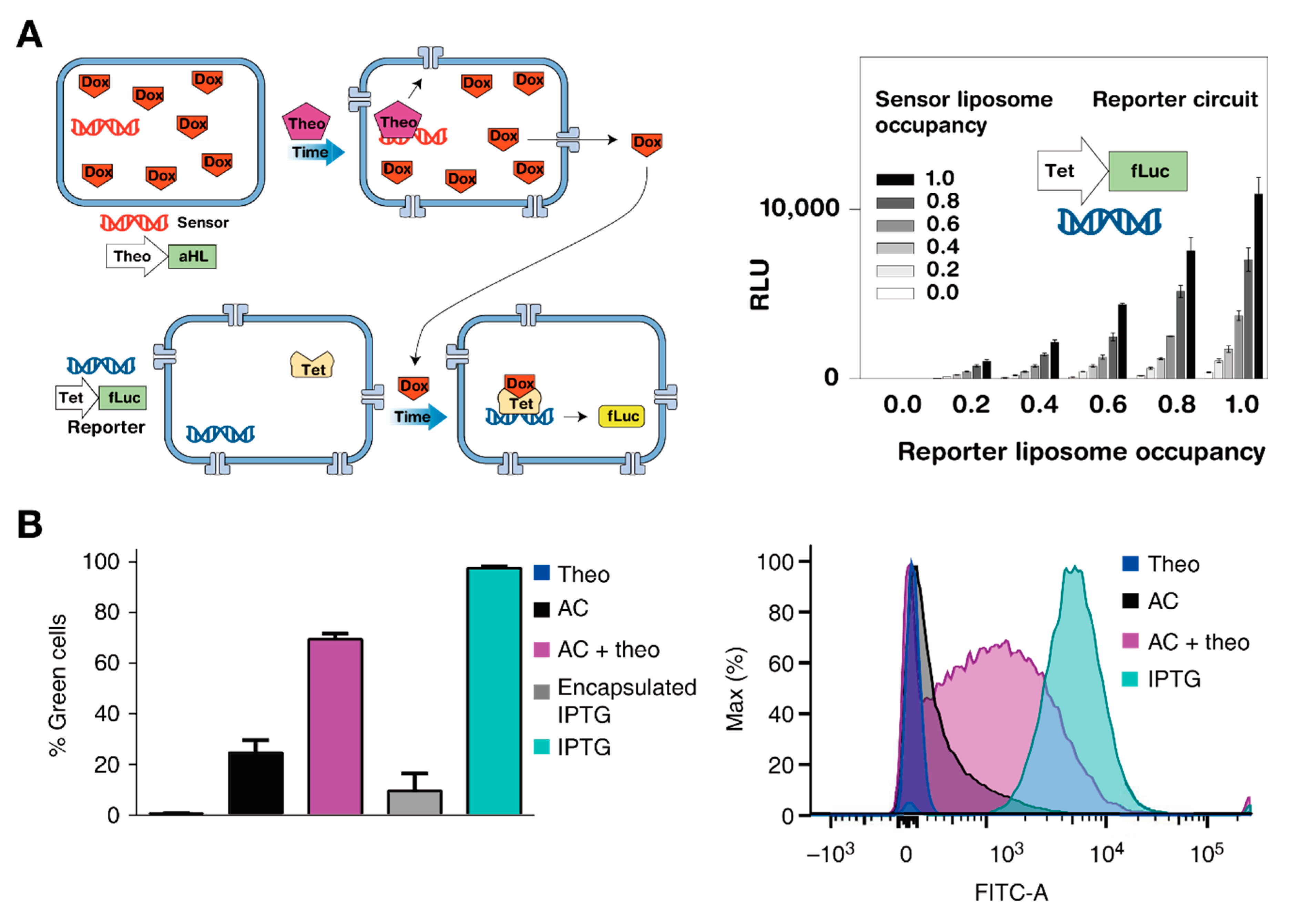 Mps 02 00039 g008 550