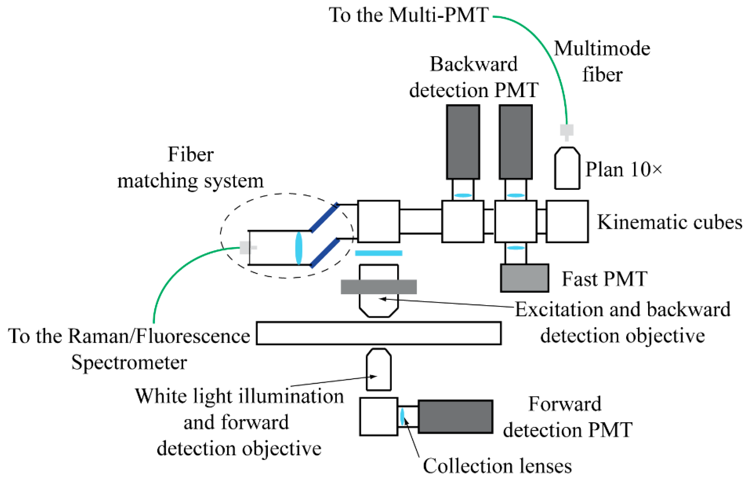 Mps 02 00051 g002 Mps 02 00051 g002