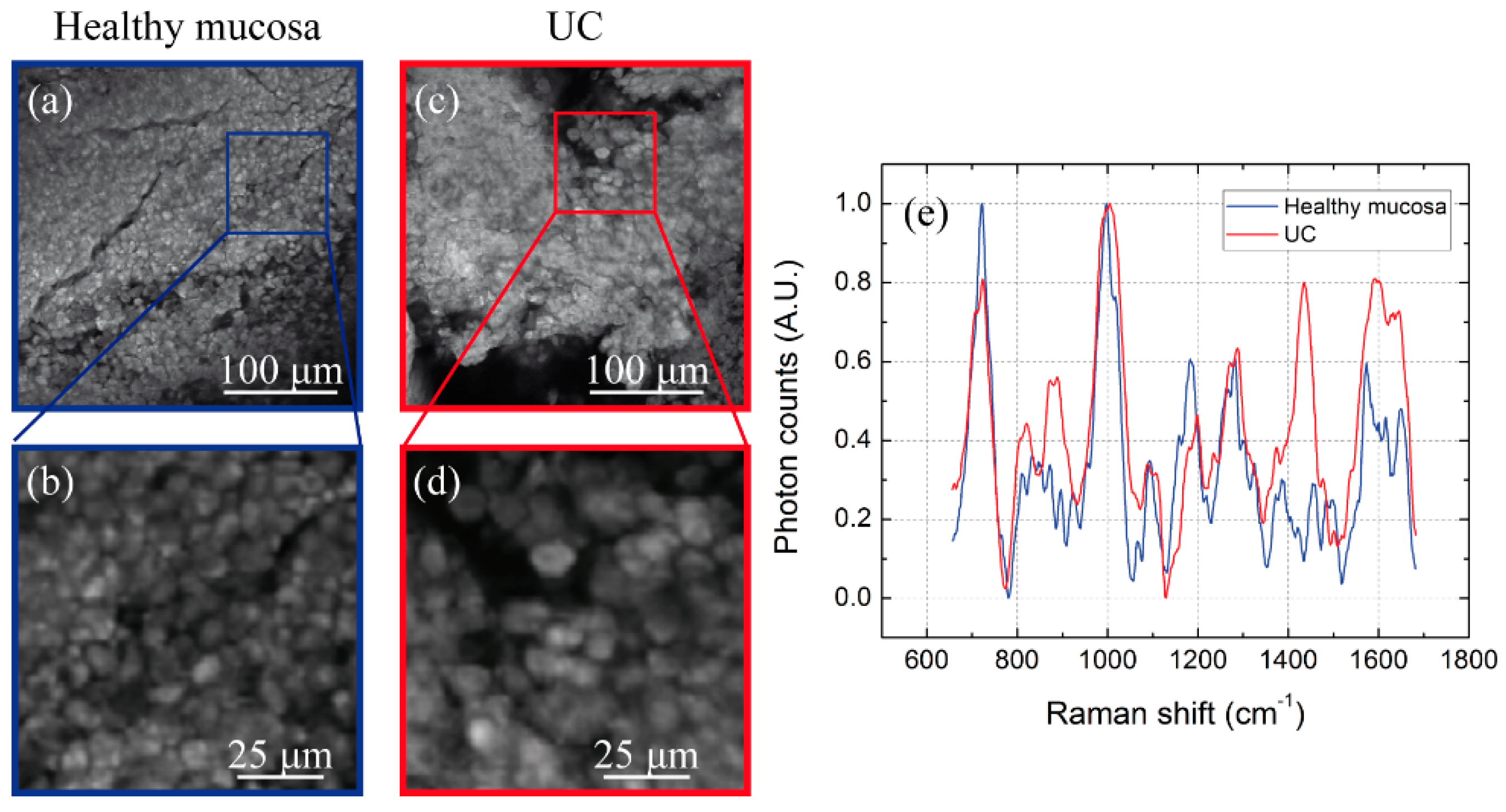 Mps 02 00051 g007 Mps 02 00051 g007