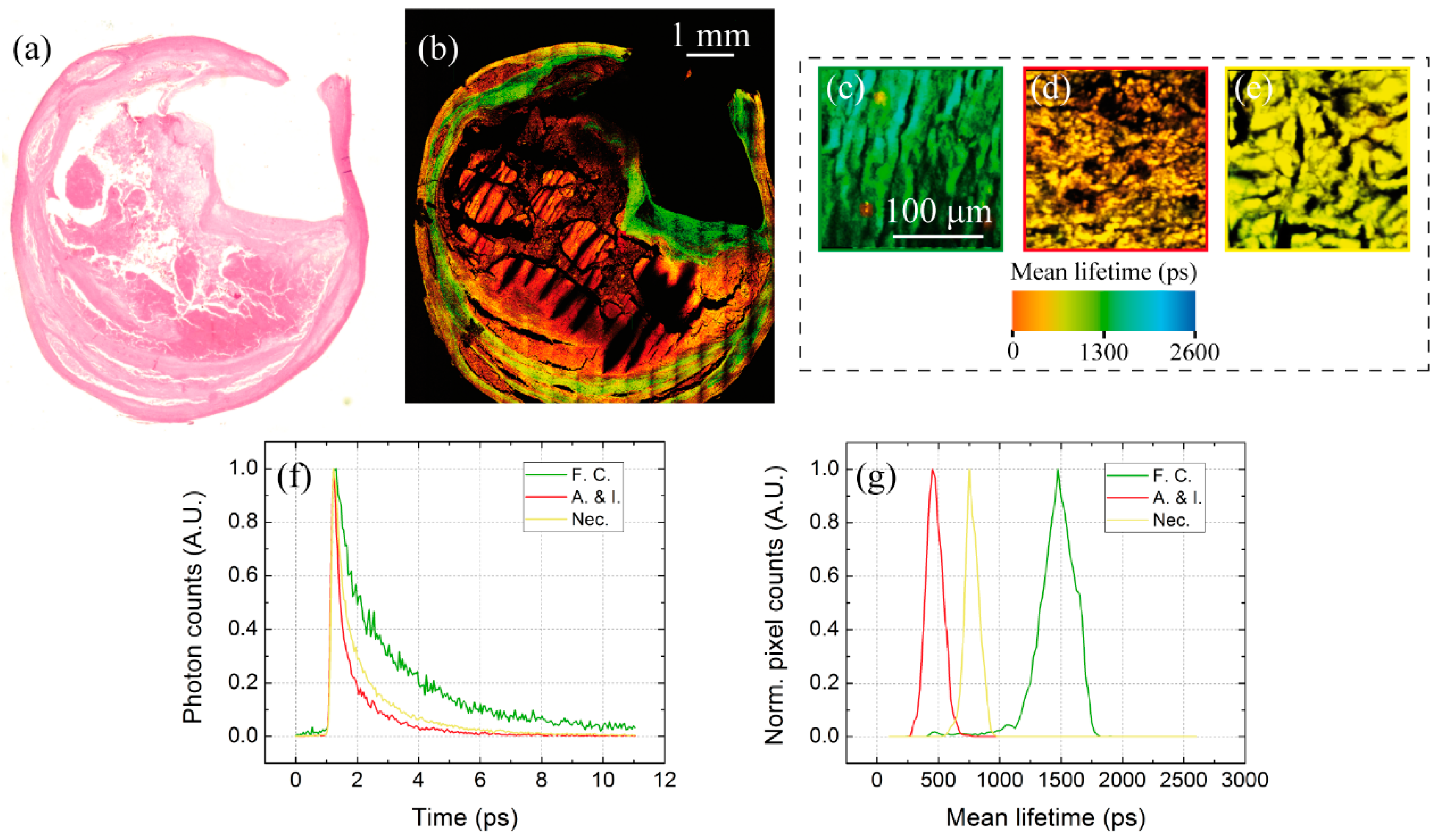 Mps 02 00051 g009 Mps 02 00051 g009