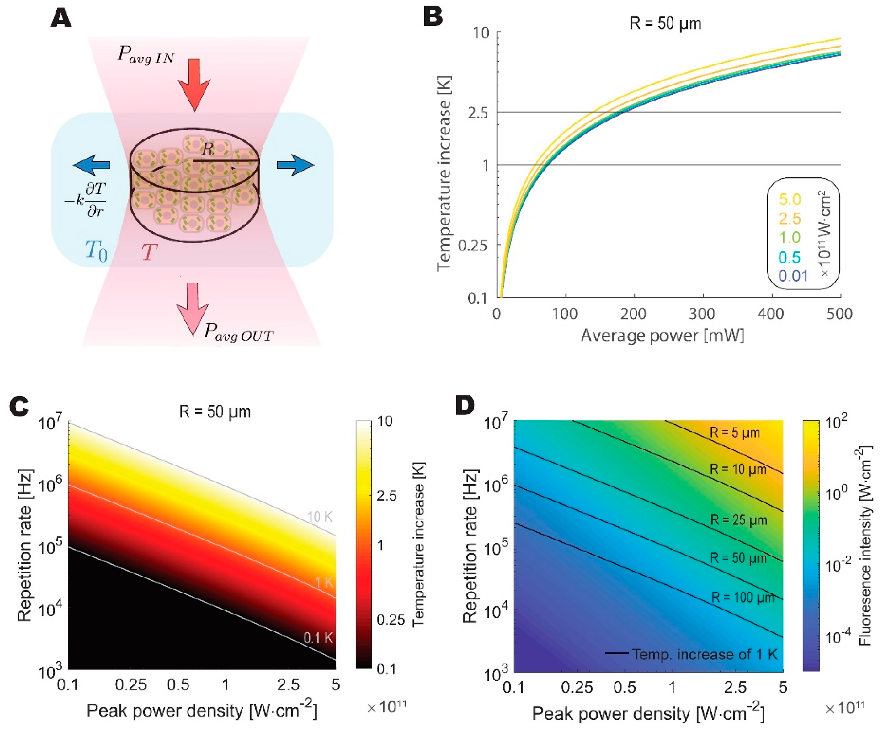 Mps 02 00065 g004 Mps 02 00065 g004