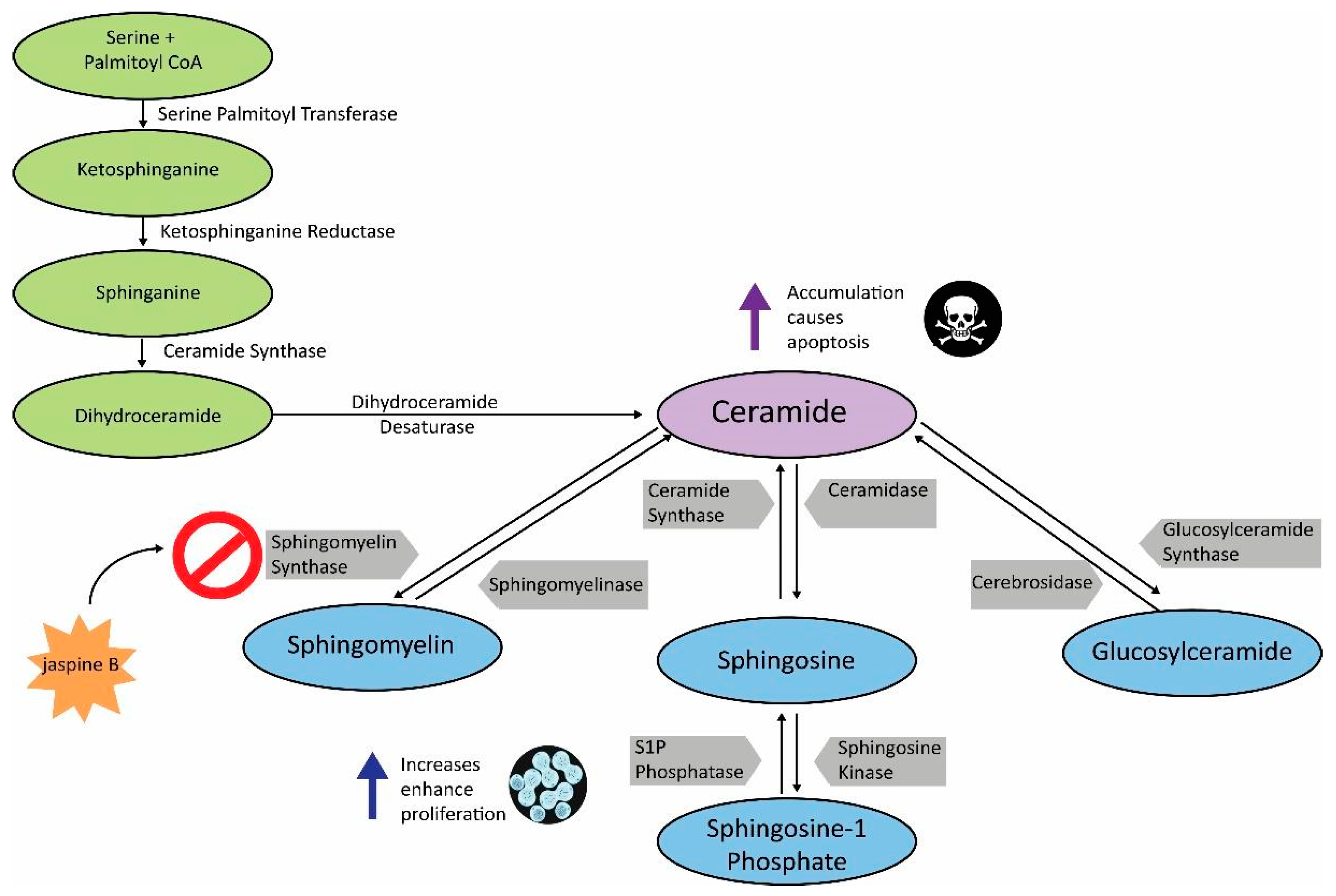 Mps 02 00076 g001 Mps 02 00076 g001