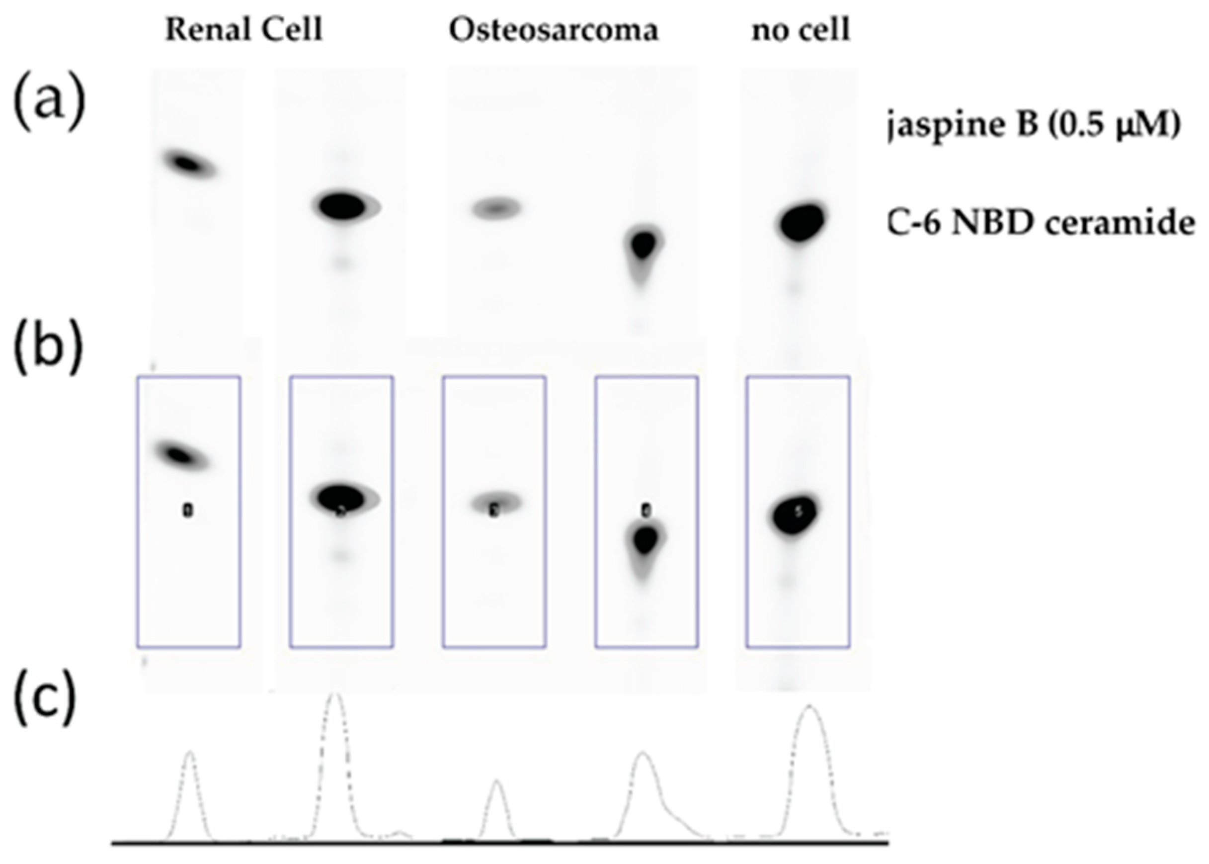 Mps 02 00076 g003 Mps 02 00076 g003