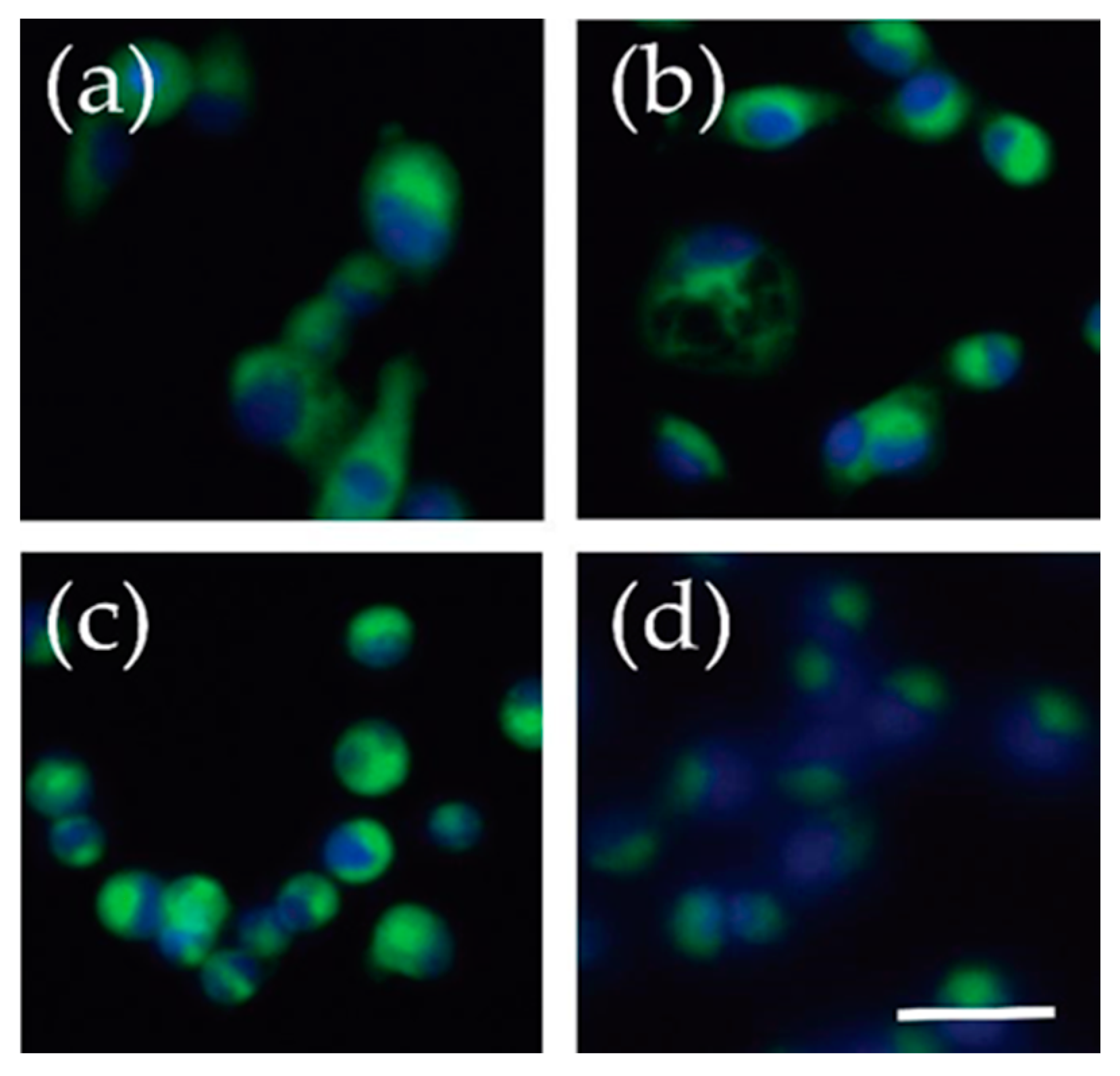 Mps 02 00076 g007 Mps 02 00076 g007