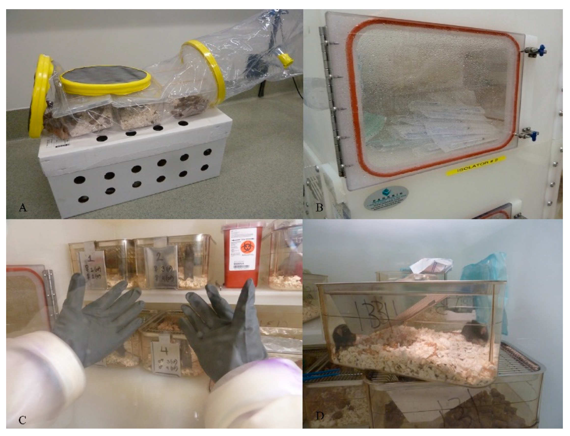 Mps 03 00018 g002 Mps 03 00018 g002