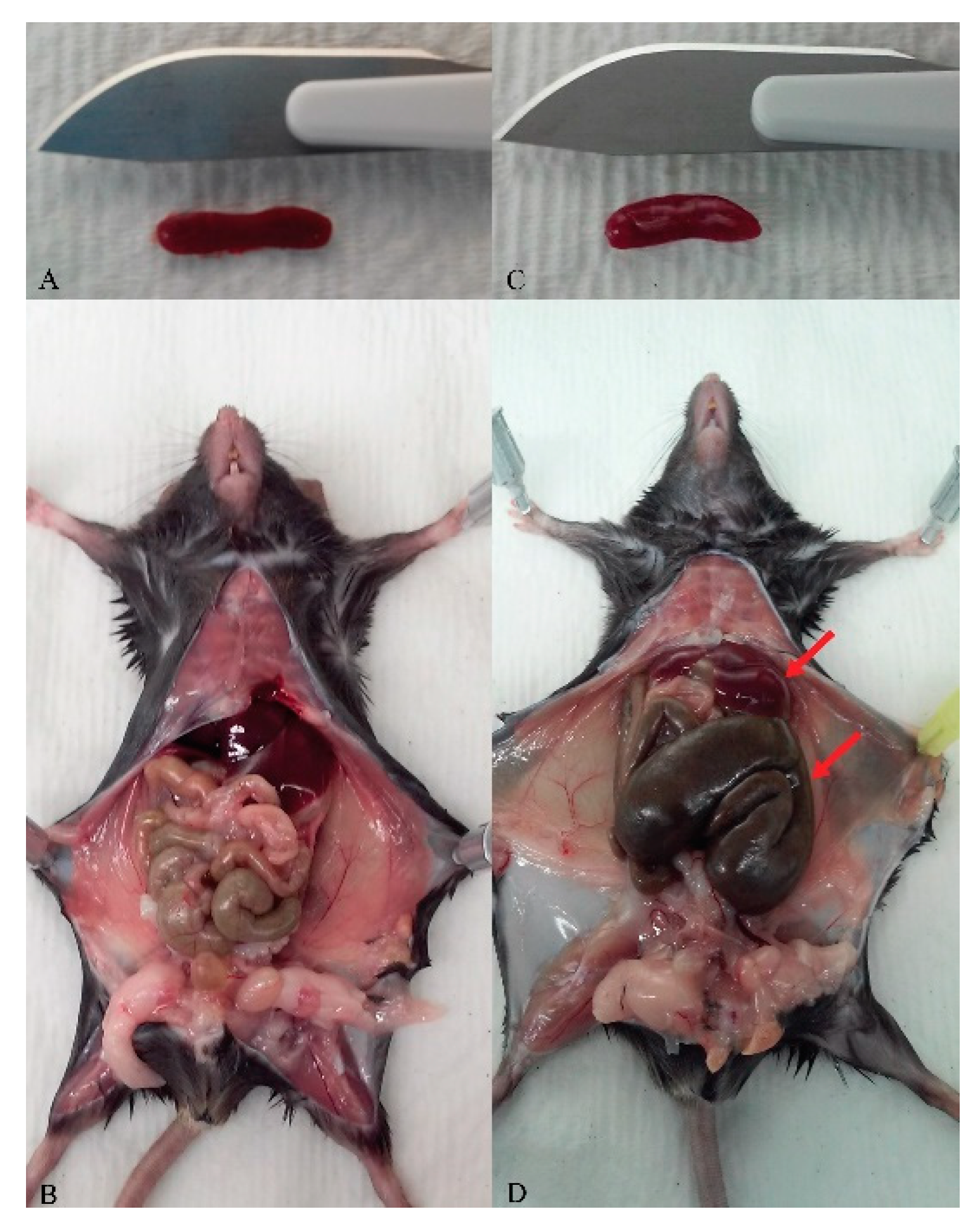 Mps 03 00018 g003 Mps 03 00018 g003