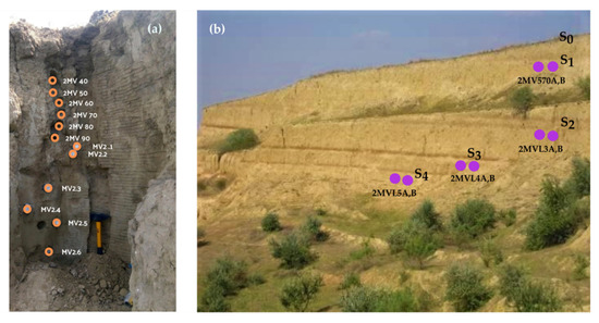 Mps Free Full Text Single Aliquot Regeneration Sar Optically Stimulated Luminescence Dating Protocols Using Different Grain Sizes Of Quartz Revisiting The Chronology Of Mircea VodÄƒ Loess Paleosol Master Section Romania Html