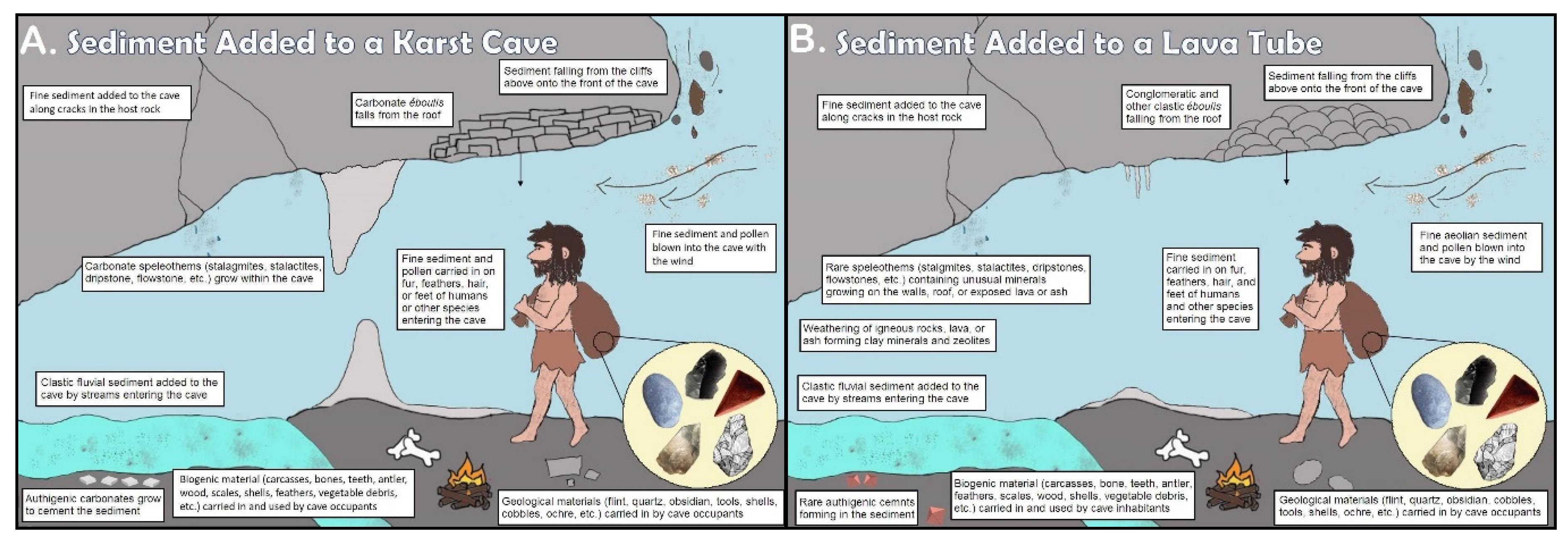 Mps 03 00020 g002 Mps 03 00020 g002