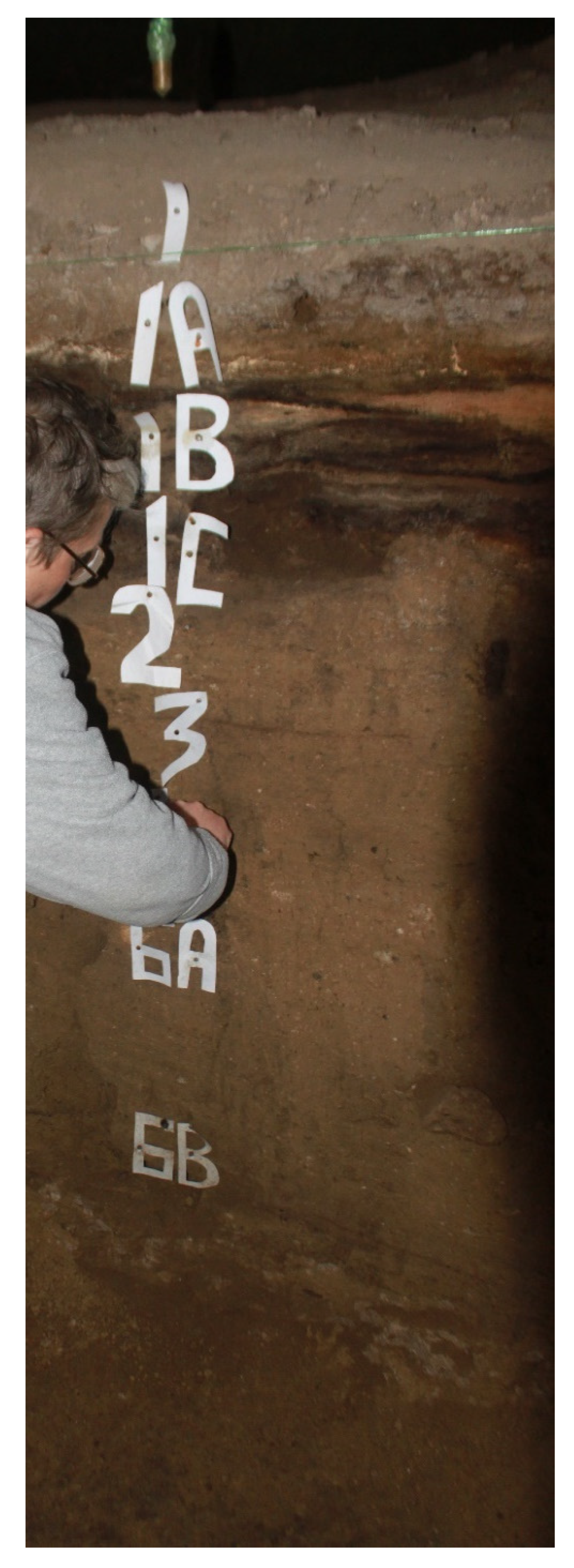 Mps 03 00020 g005 Mps 03 00020 g005