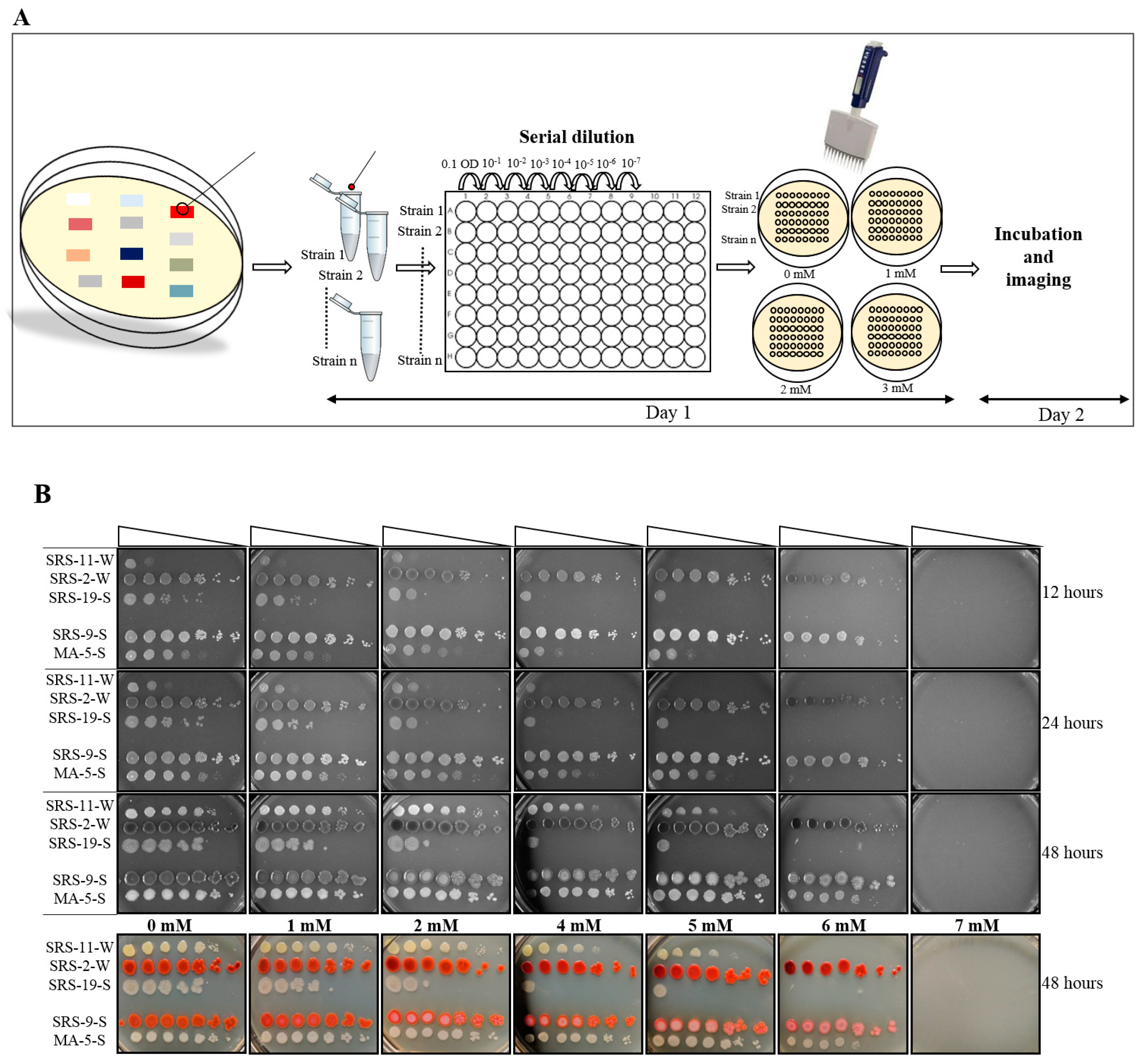 Mps 03 00021 g001 Mps 03 00021 g001