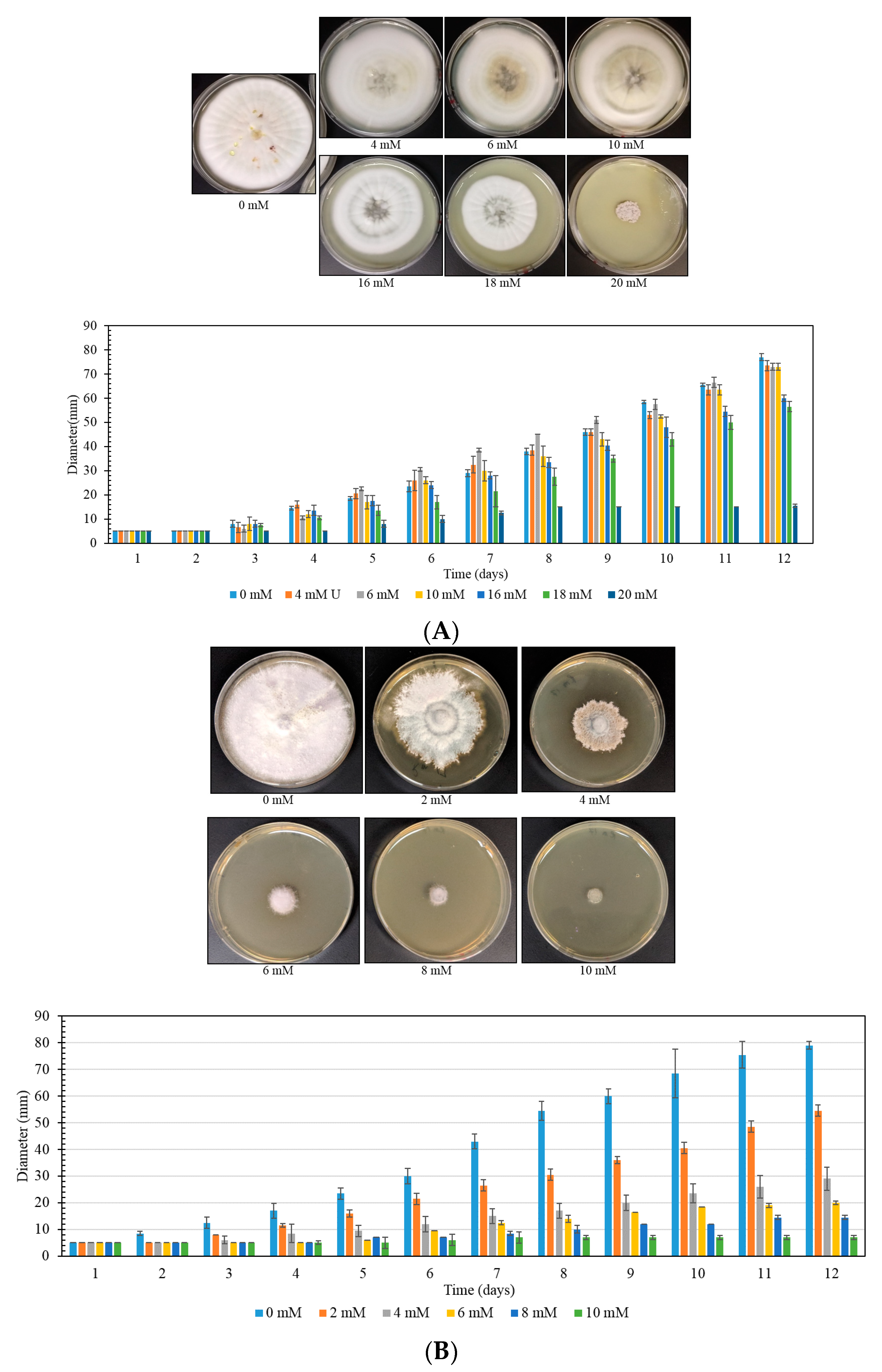 Mps 03 00021 g005 Mps 03 00021 g005