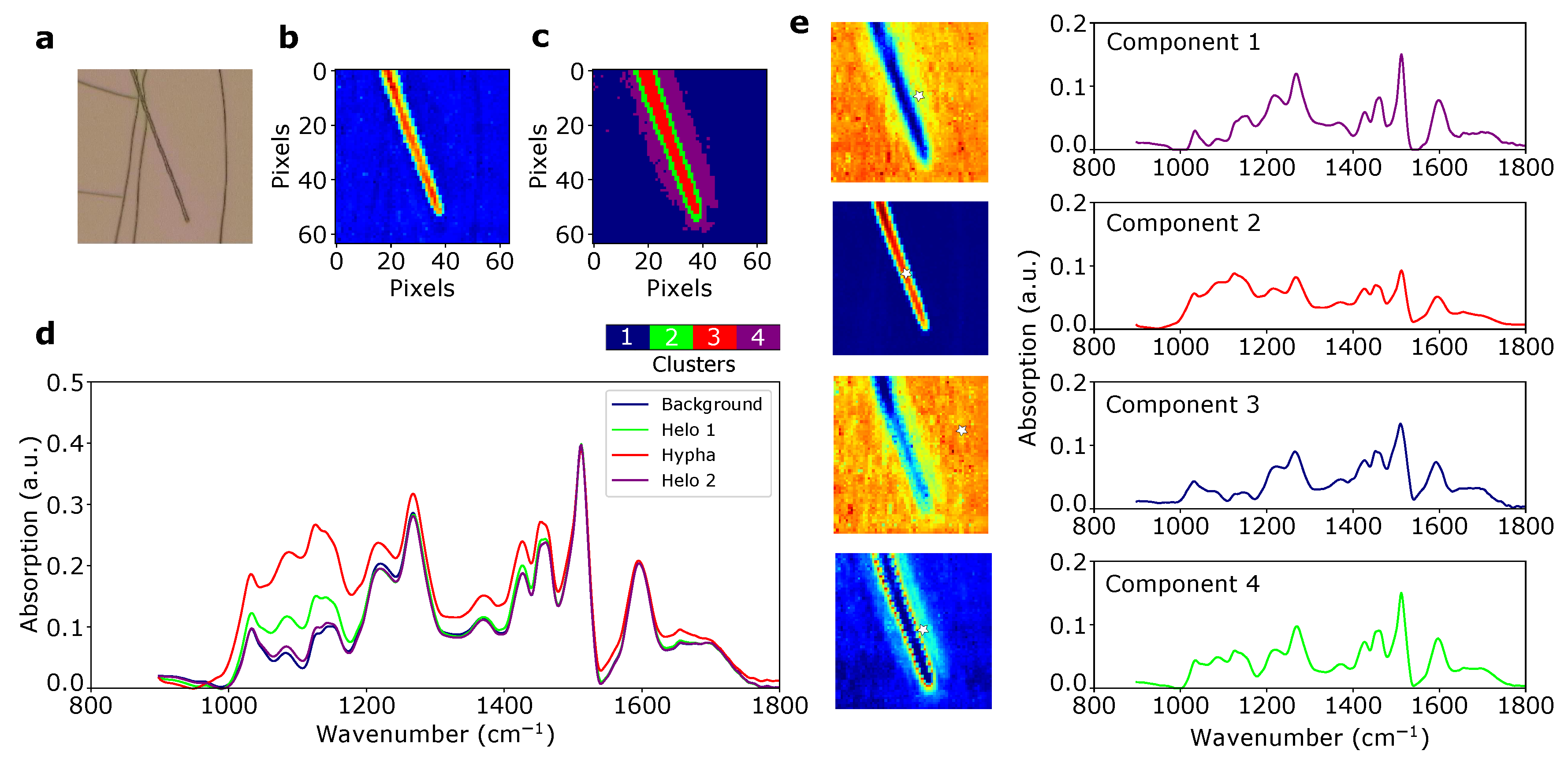 Mps 03 00034 g006 Mps 03 00034 g006