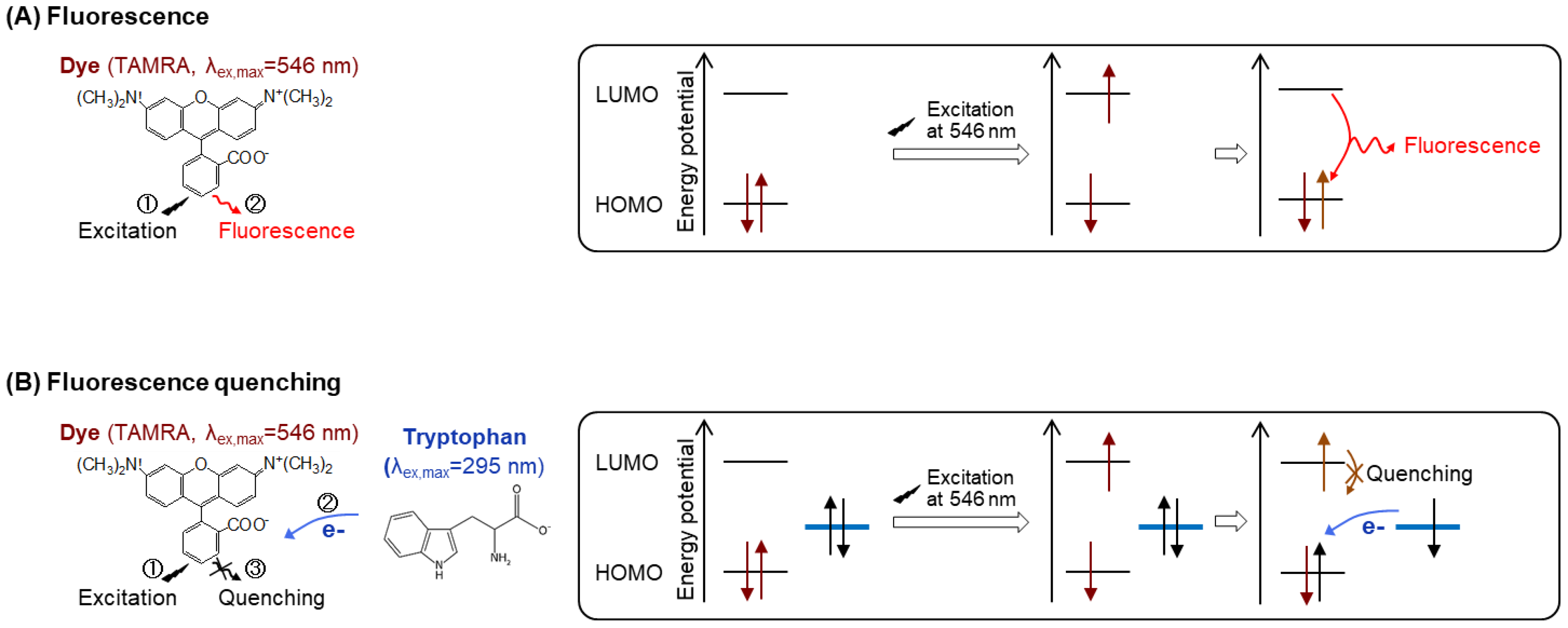 Mps 03 00043 g001 Mps 03 00043 g001