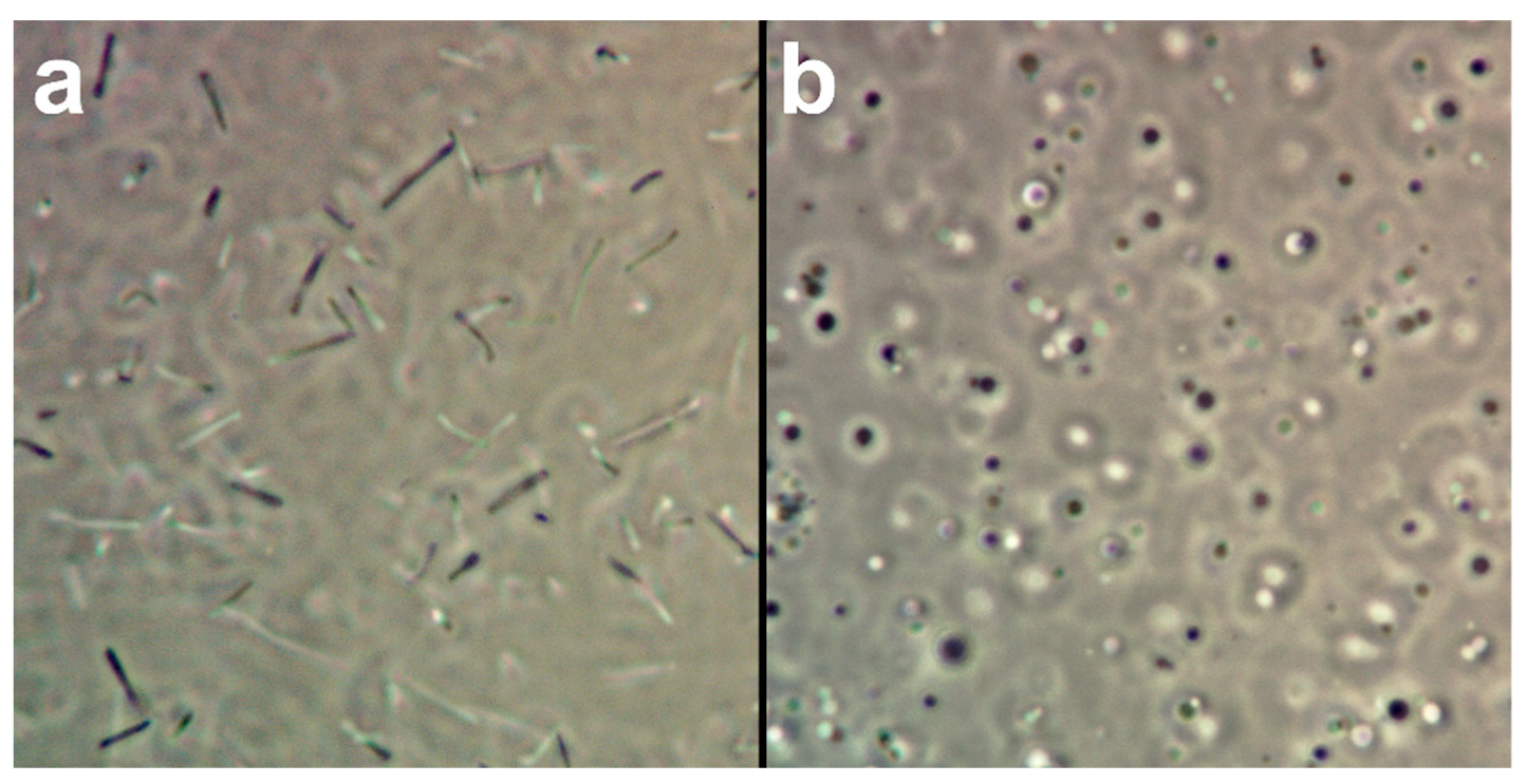 Mps 03 00051 g001 Mps 03 00051 g001