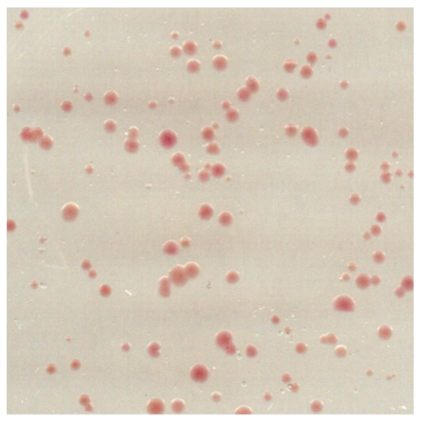 Mps 03 00051 g002 Mps 03 00051 g002