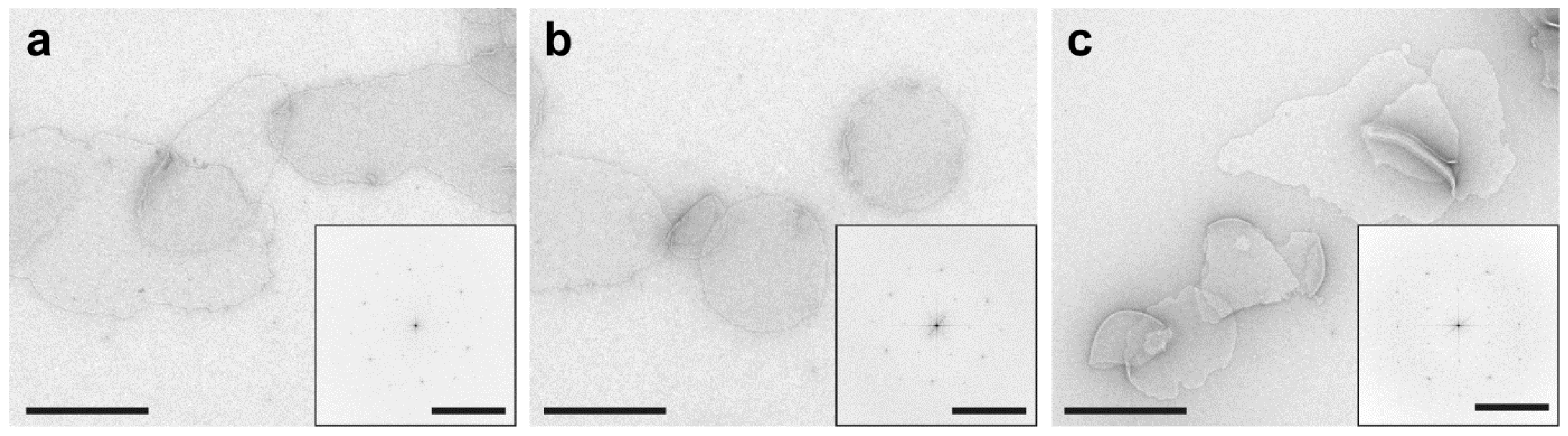 Mps 03 00051 g005 Mps 03 00051 g005