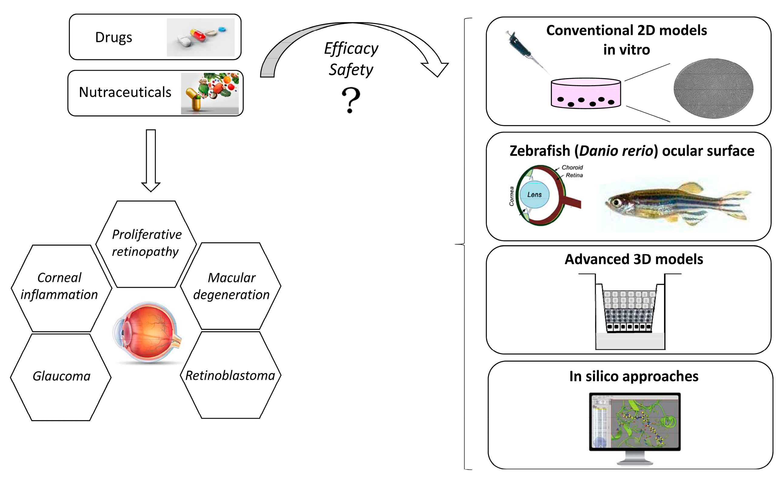 In vivo corneal elastography: A topical review of challenges and  opportunities - Computational and Structural Biotechnology Journal