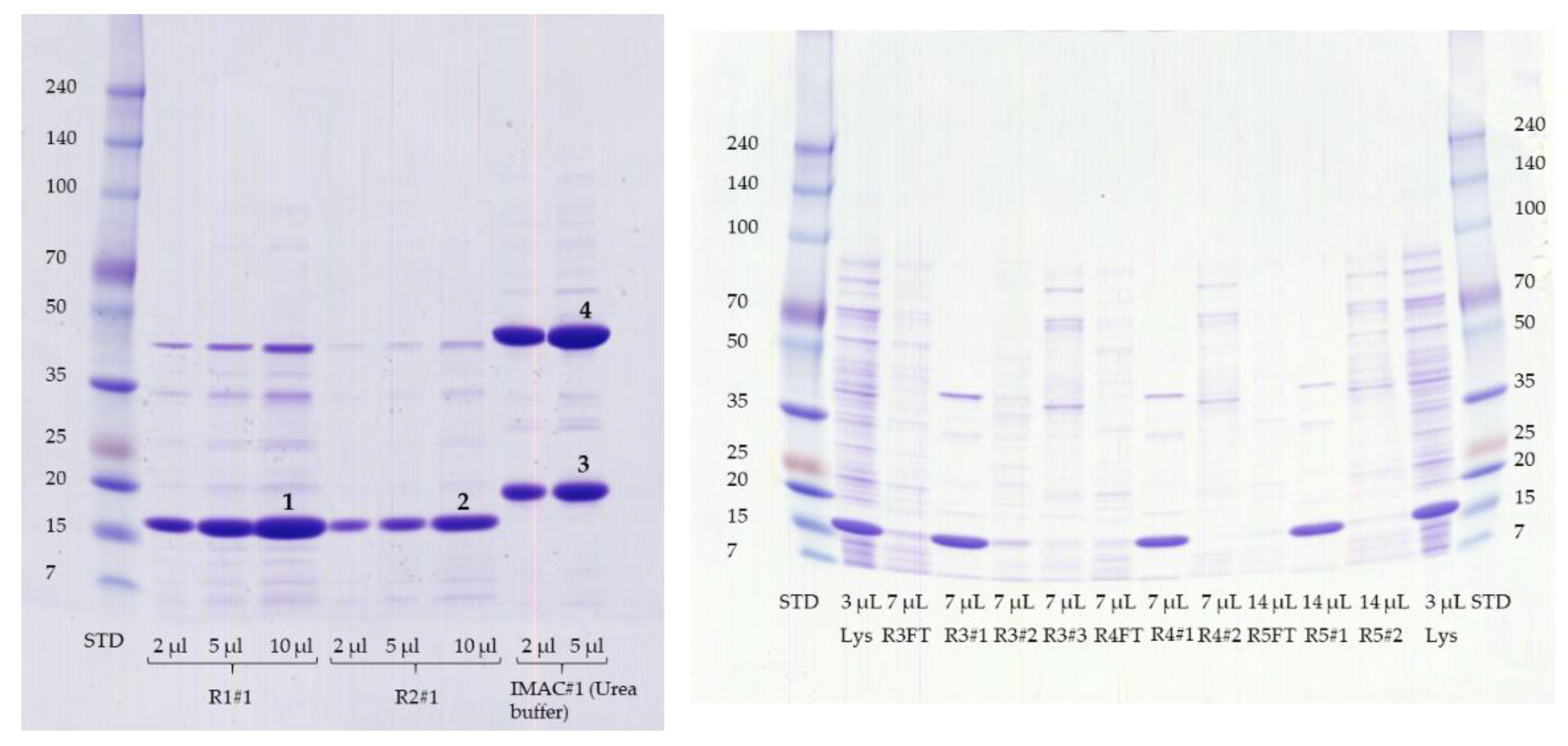 Mps 04 00003 g003 Mps 04 00003 g003