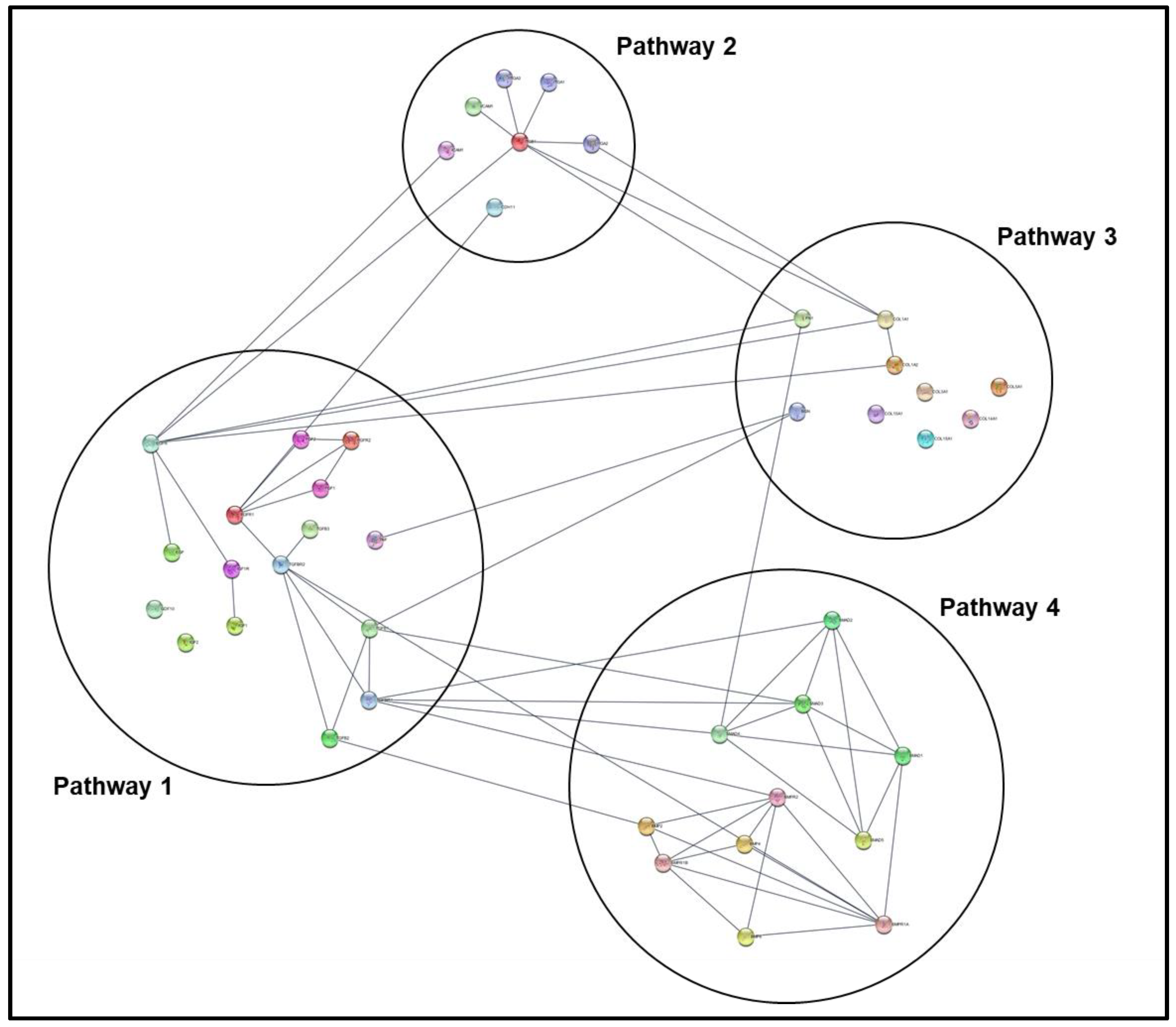 Mps 04 00021 g009 Mps 04 00021 g009