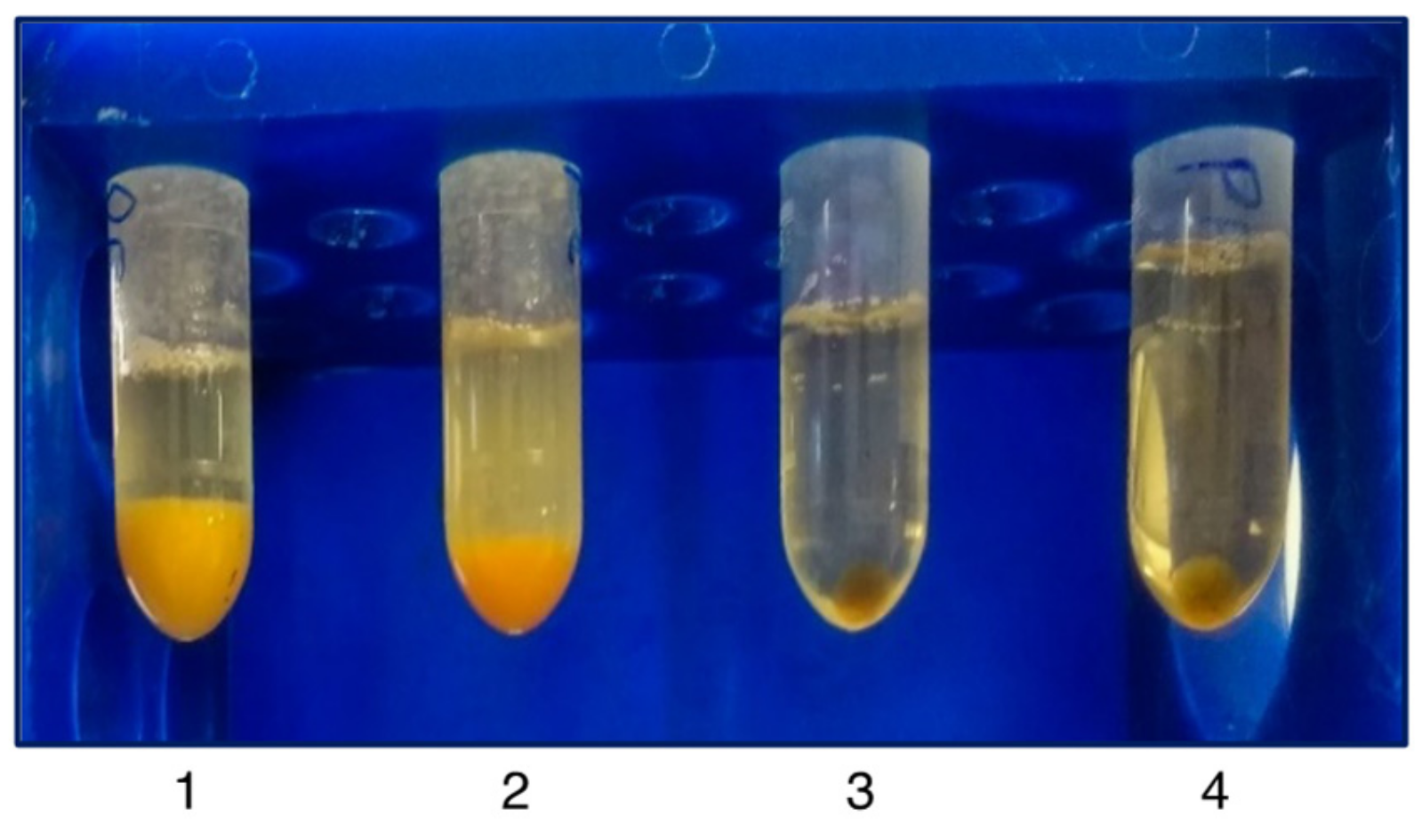 Mps 04 00031 g002 Mps 04 00031 g002