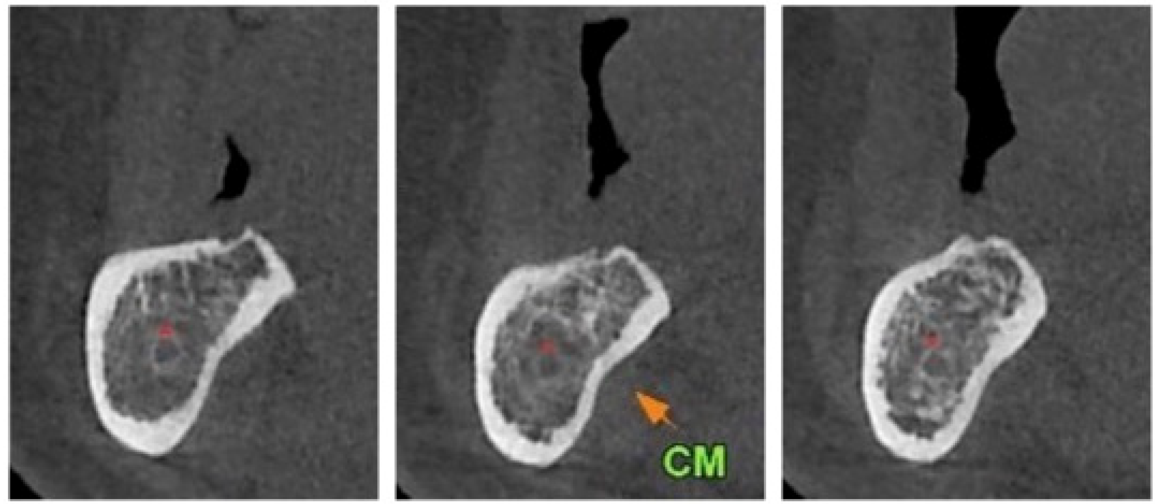 Mps 04 00034 g001 Mps 04 00034 g001