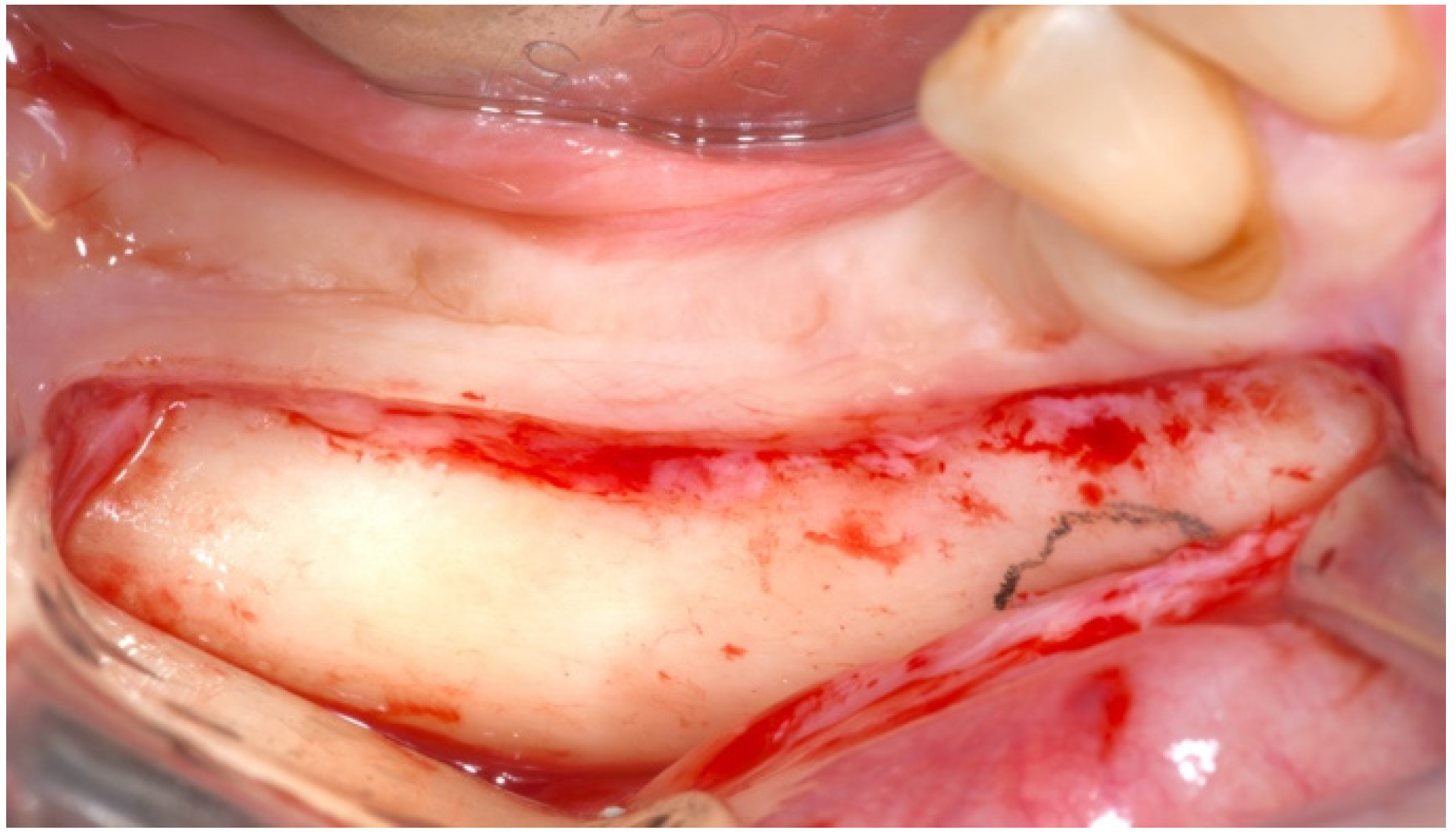 Mps 04 00034 g002 Mps 04 00034 g002