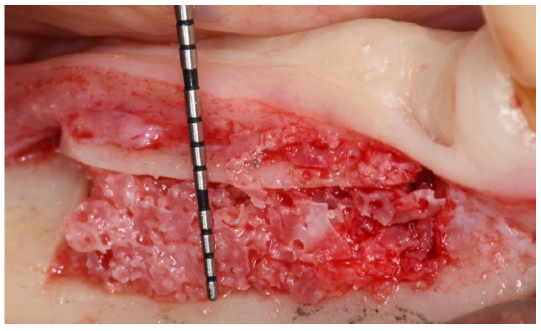 Mps 04 00034 g005 Mps 04 00034 g005