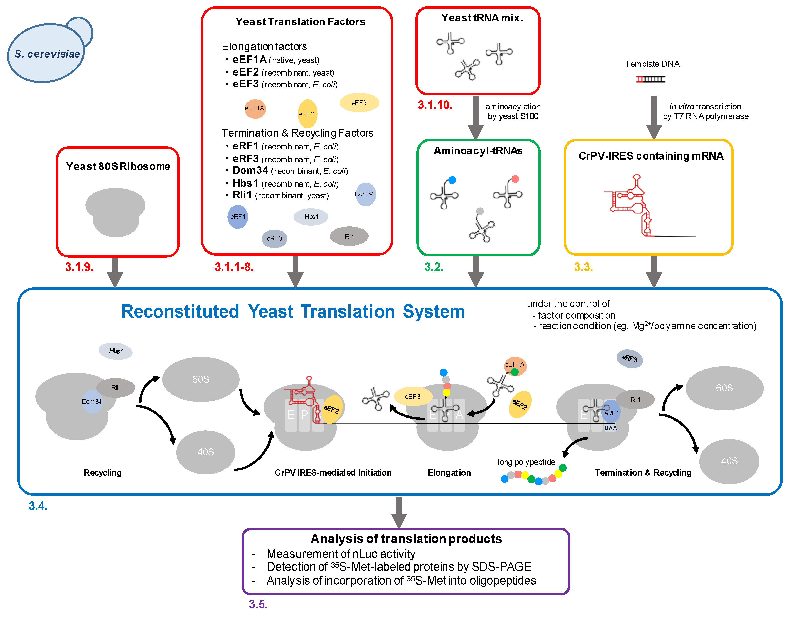 Mps 04 00045 g001 Mps 04 00045 g001