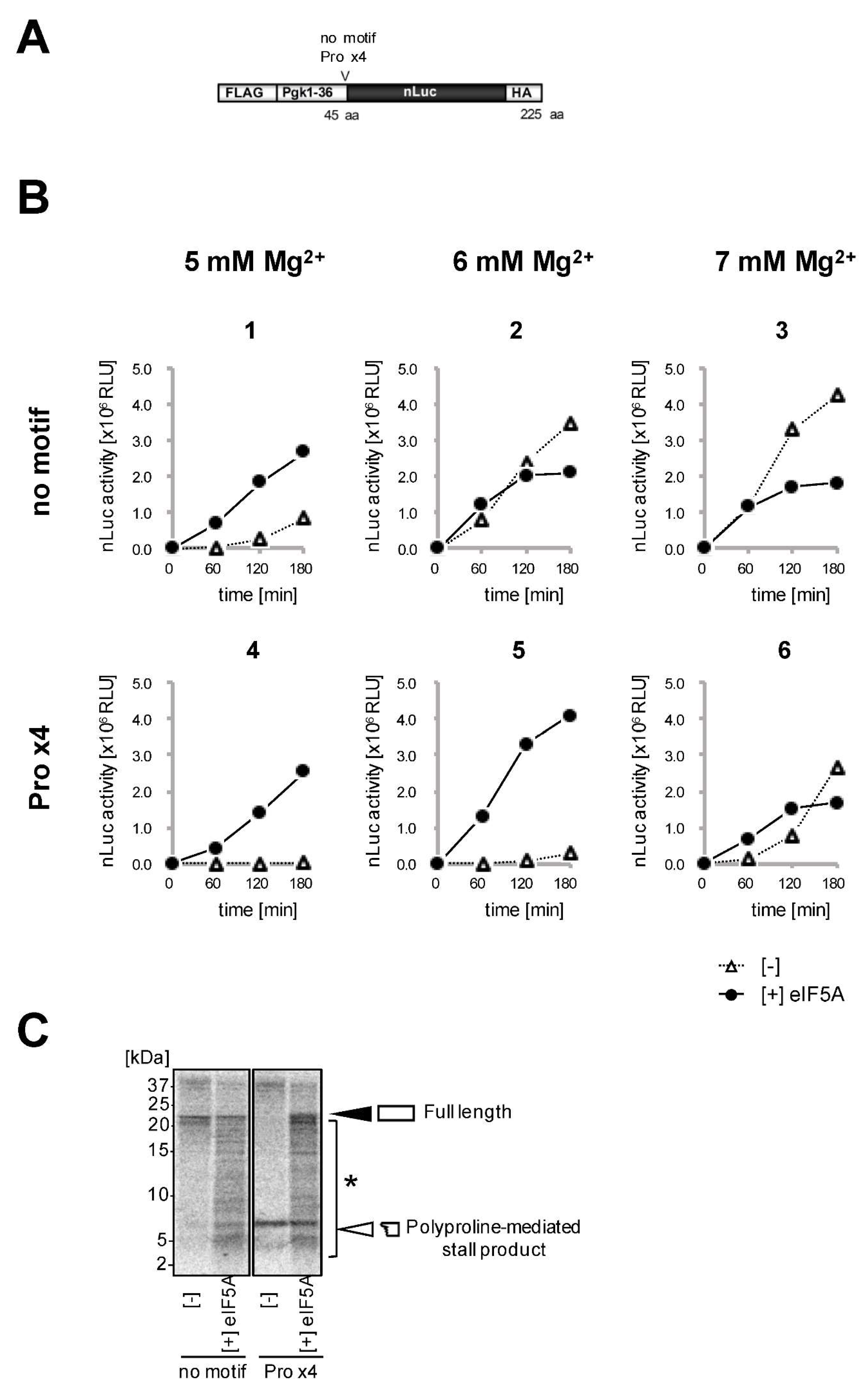 Mps 04 00045 g002 Mps 04 00045 g002