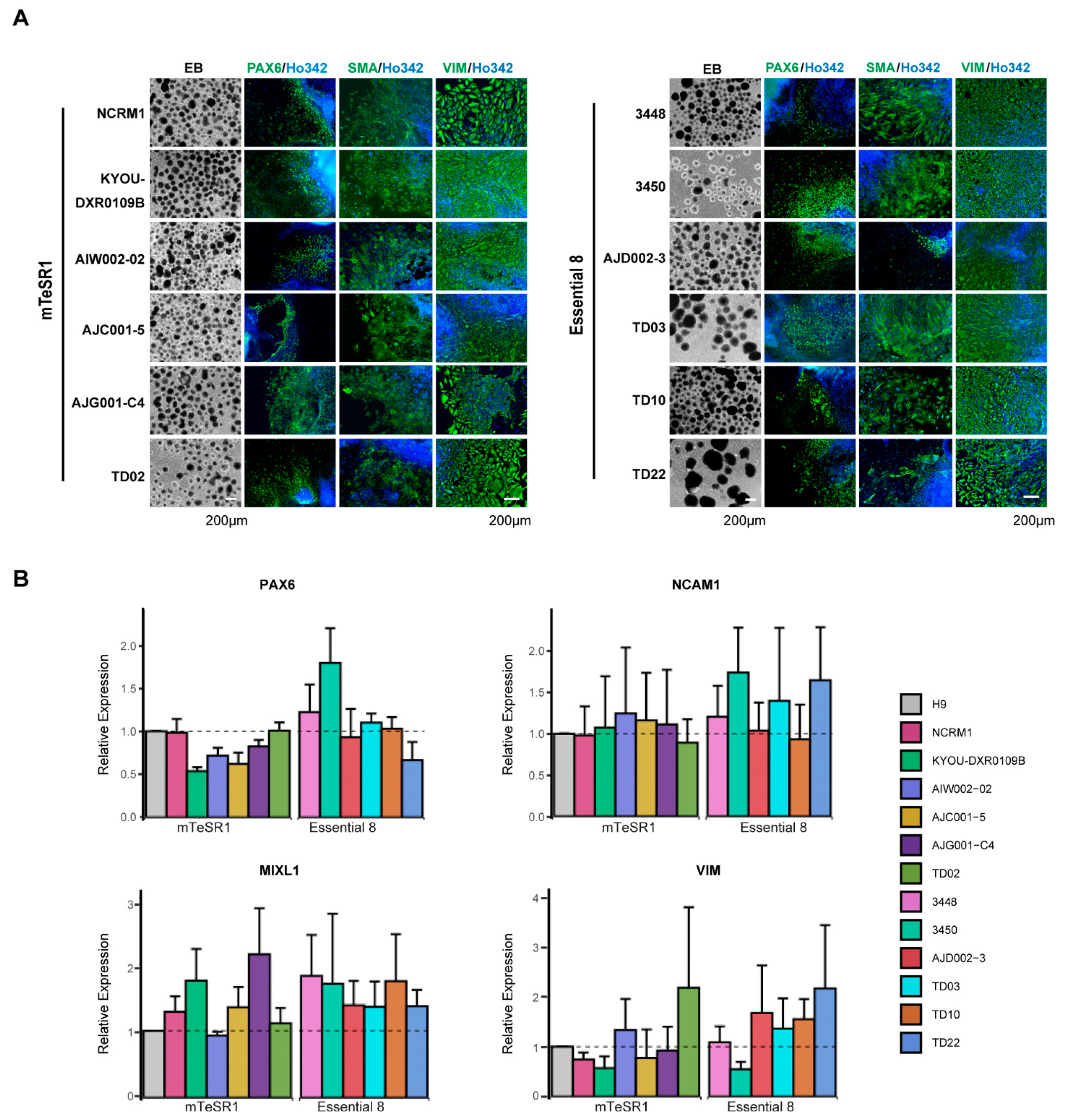 Mps 04 00050 g005 550