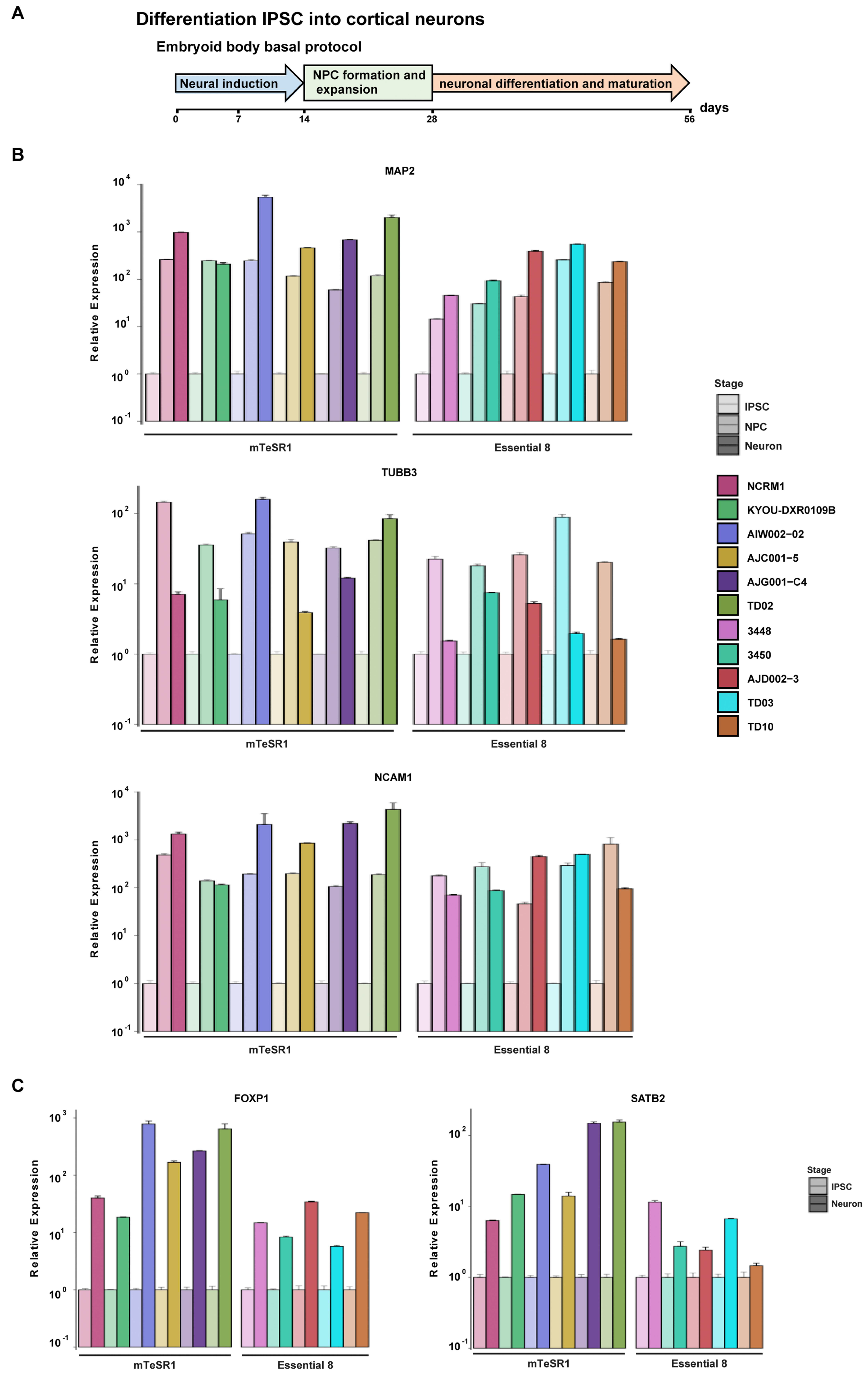 Mps 04 00050 g006 550