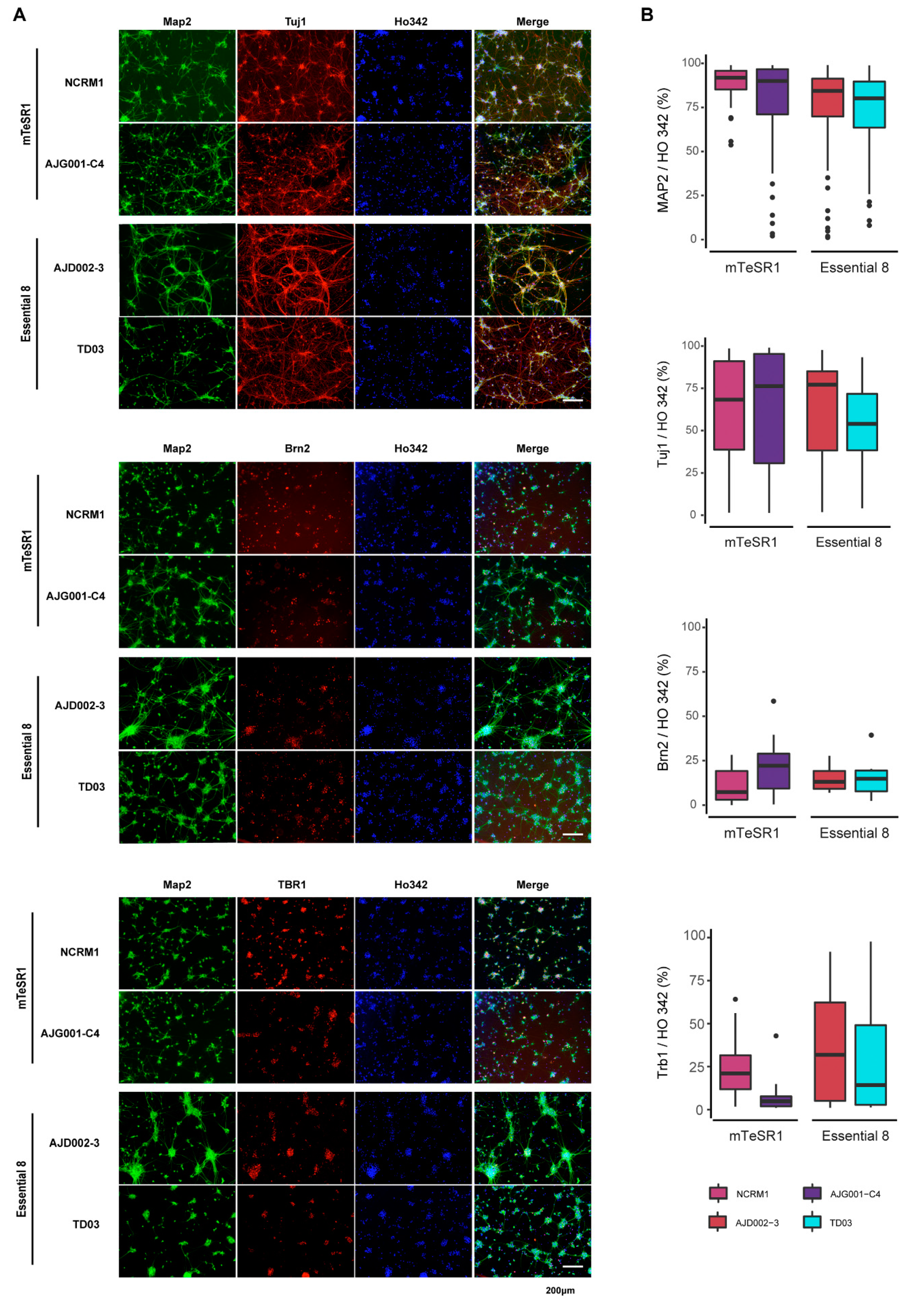 Mps 04 00050 g007 550