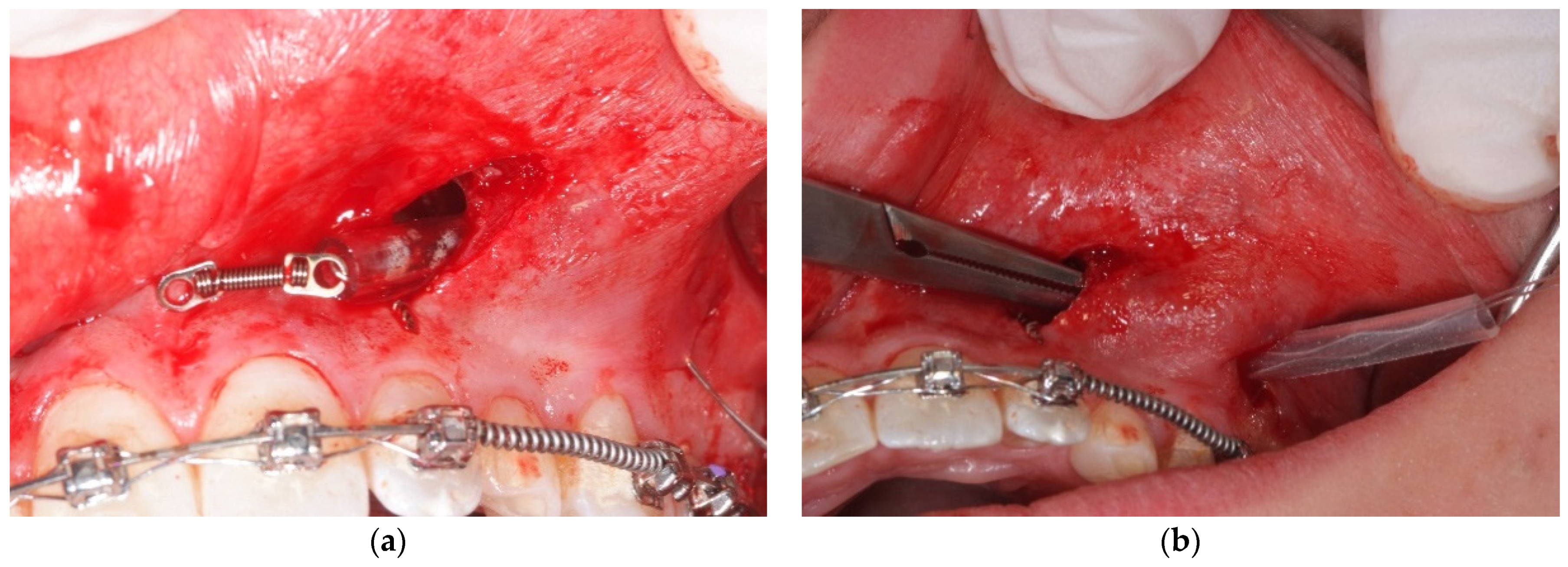 Mps 04 00057 g001 550