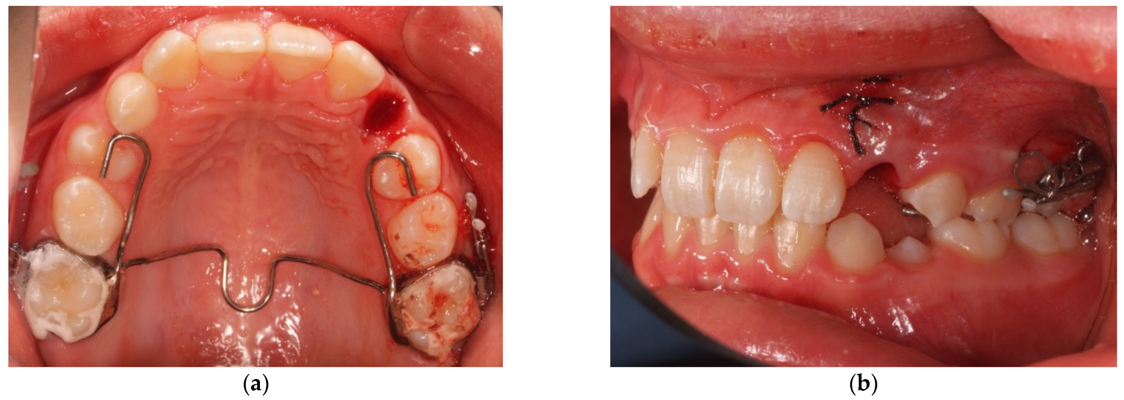 Mps 04 00057 g002 550