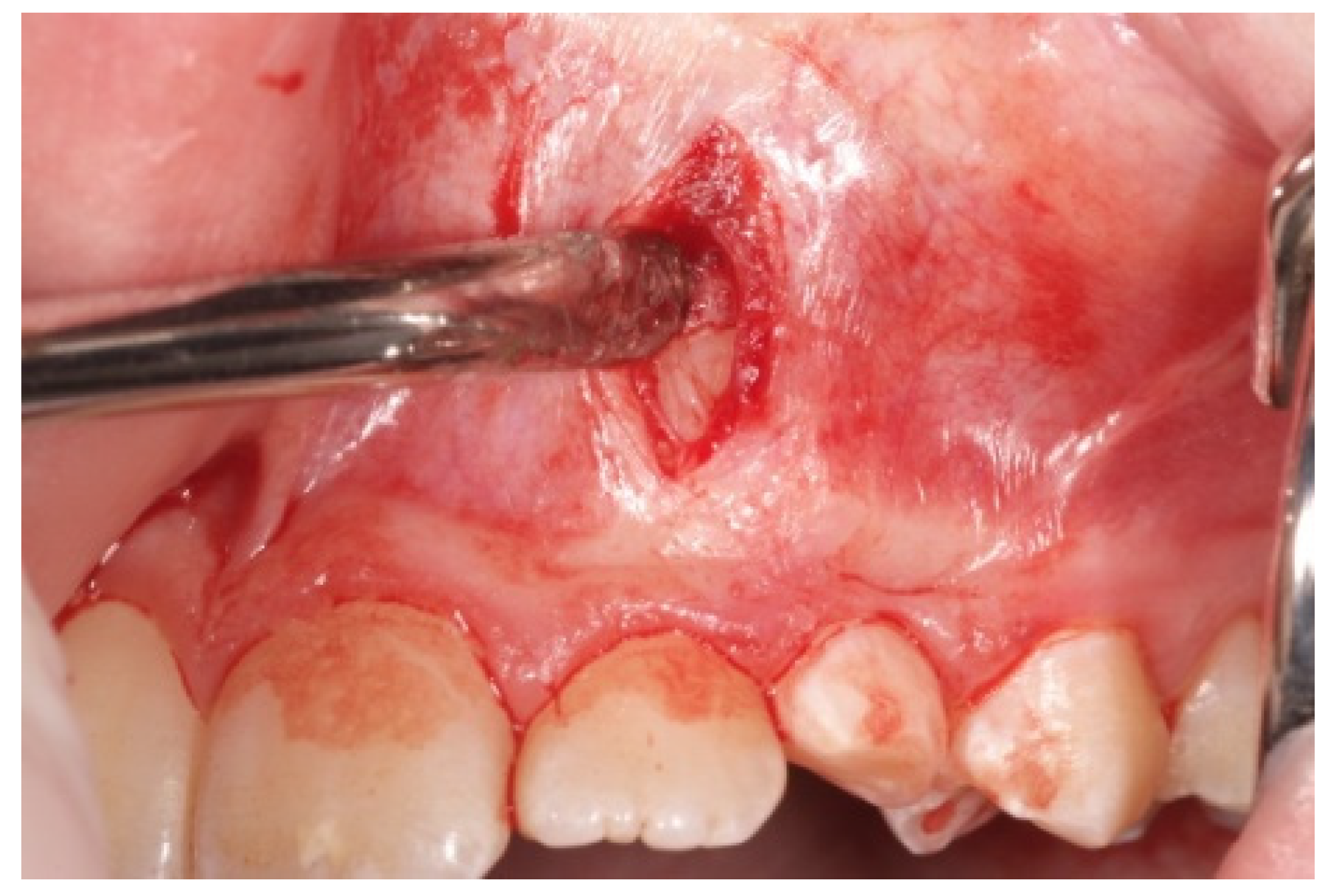 Mps 04 00057 g003 550