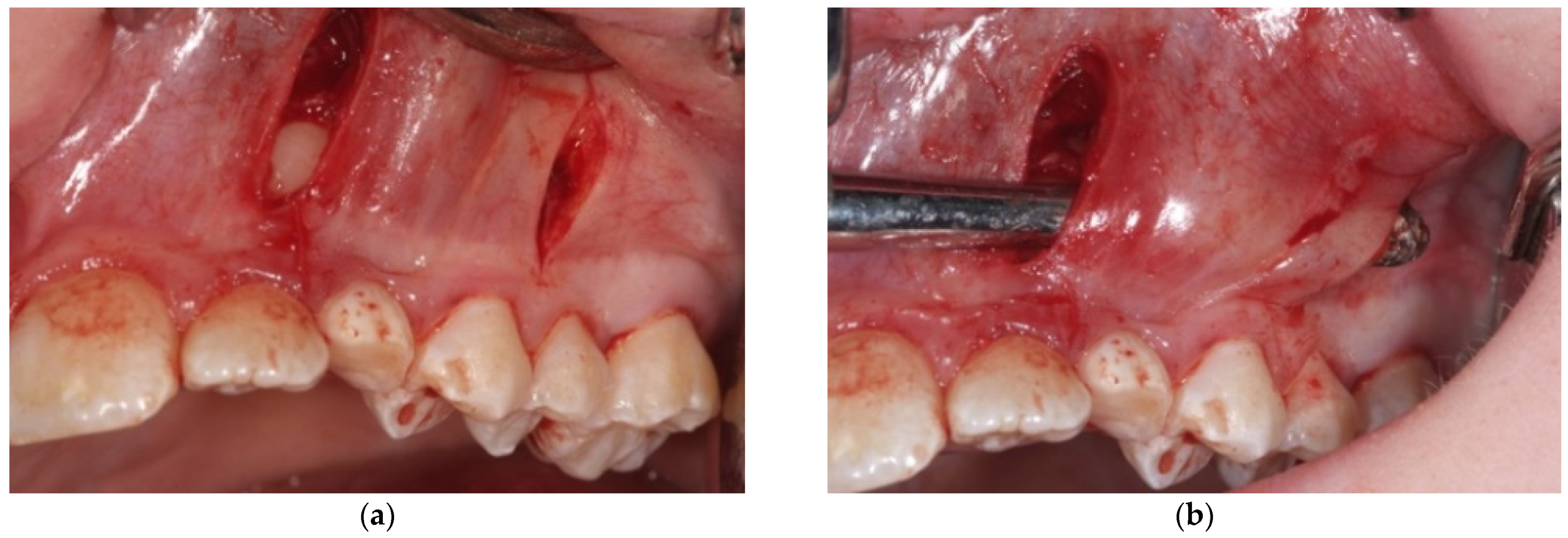 Mps 04 00057 g004 550