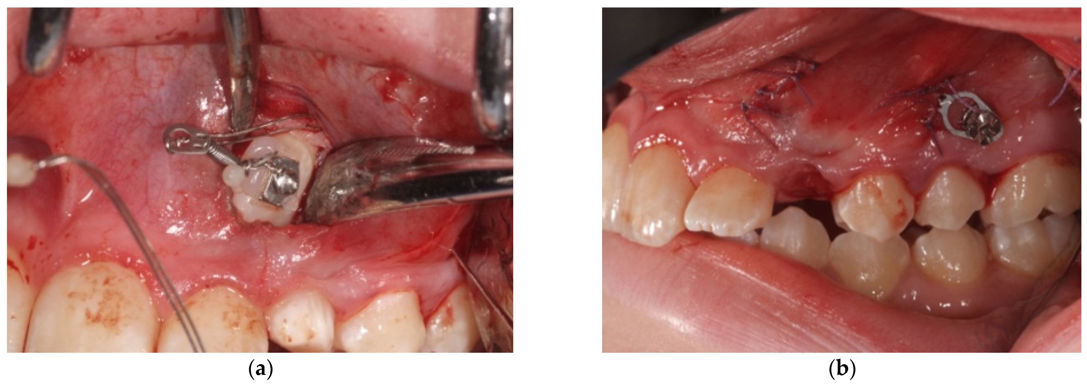 Mps 04 00057 g005 550