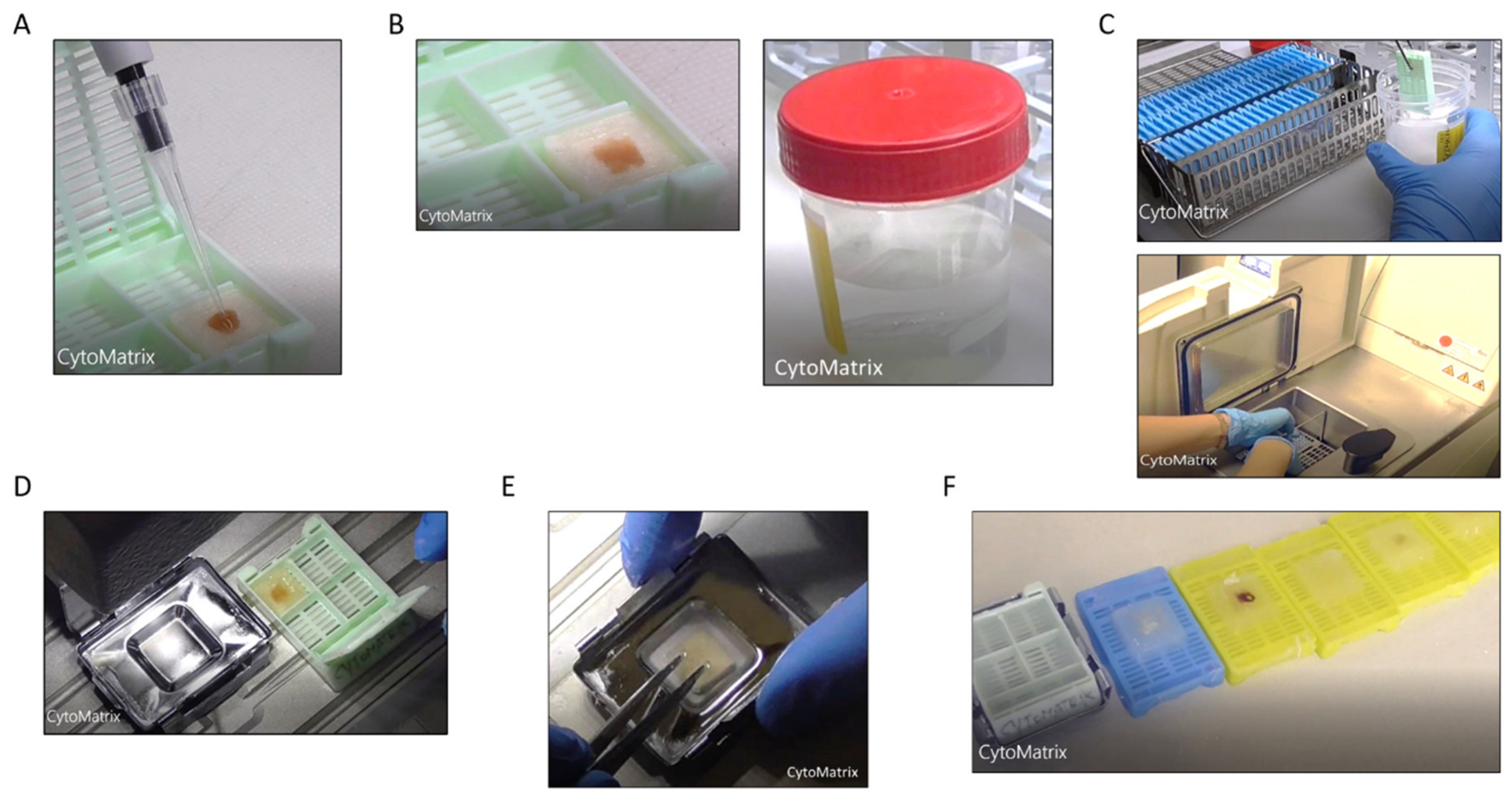 Mps 04 00065 g001 550