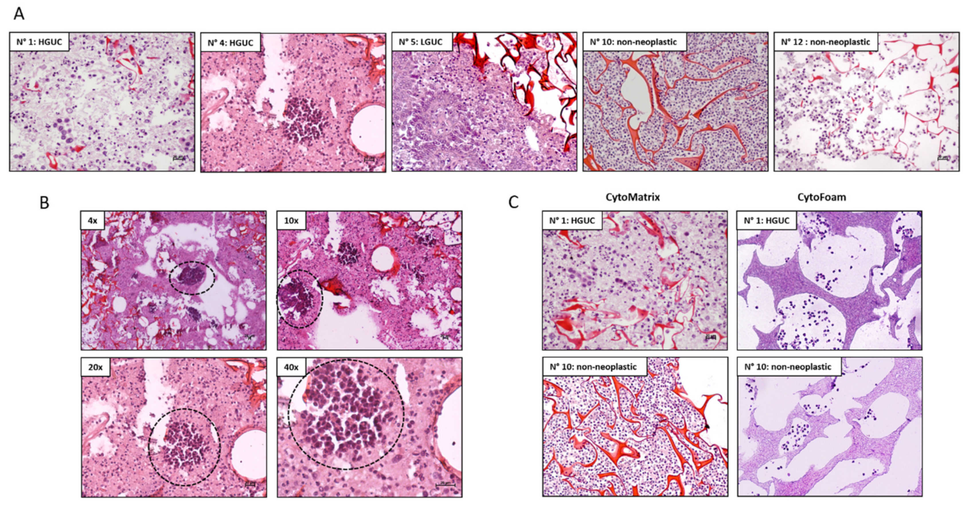 Mps 04 00065 g002 550