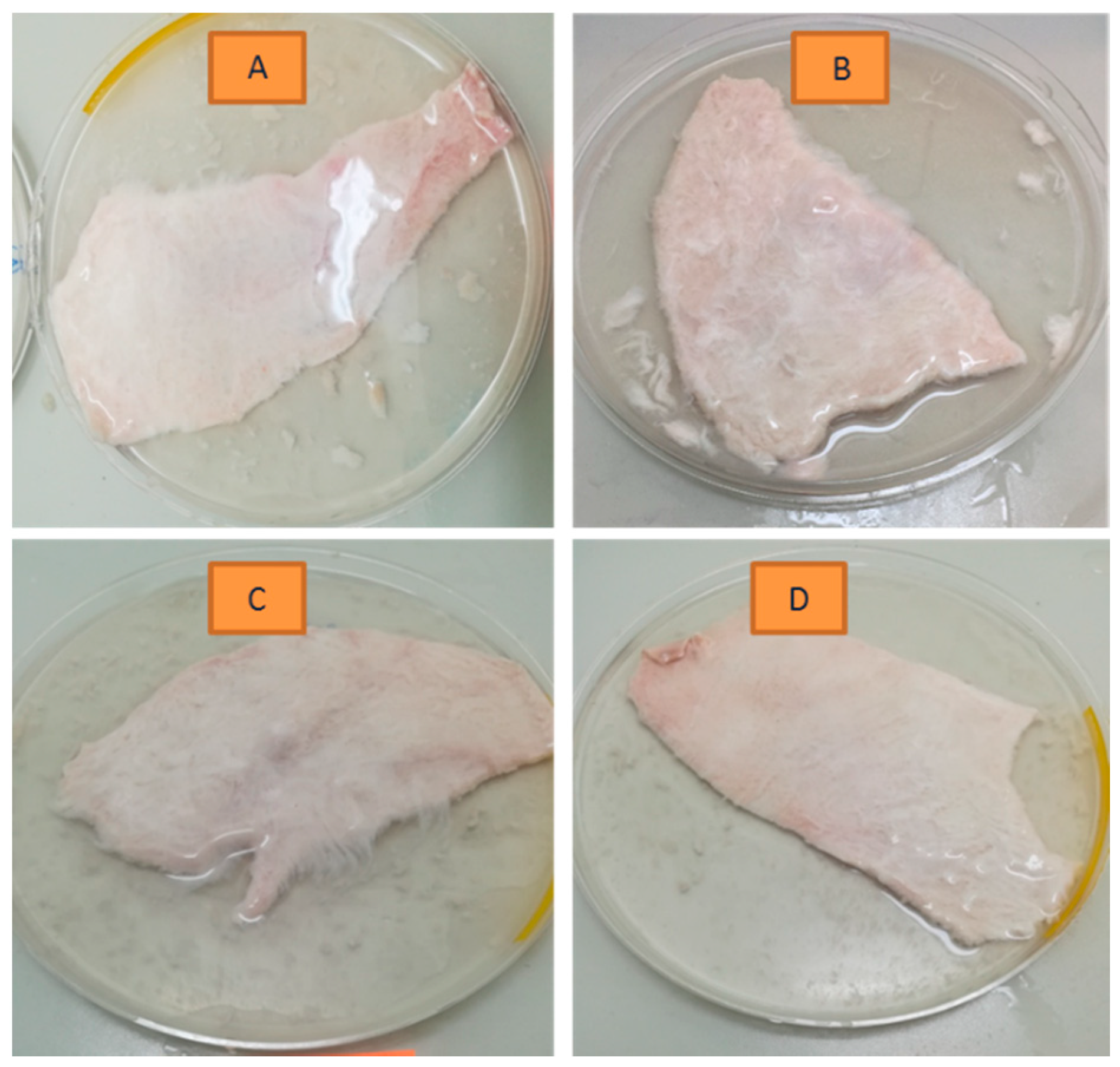 Mps 04 00080 g001 Mps 04 00080 g001