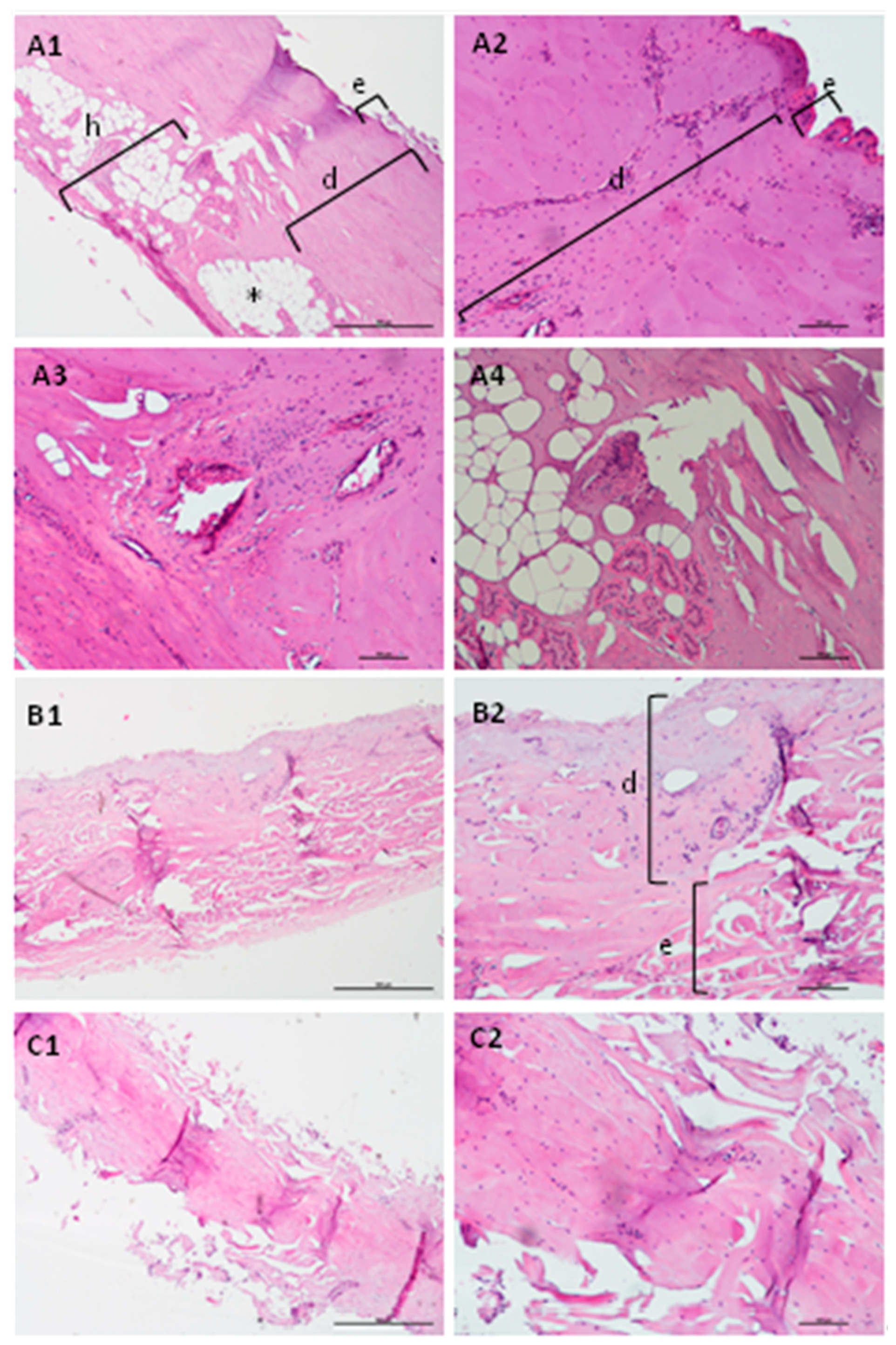 Mps 04 00080 g004 Mps 04 00080 g004