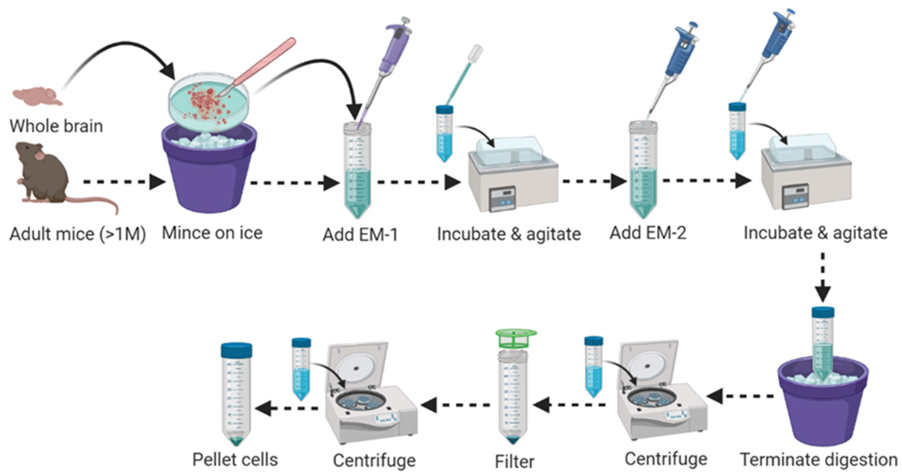 Mps 04 00086 g001 550